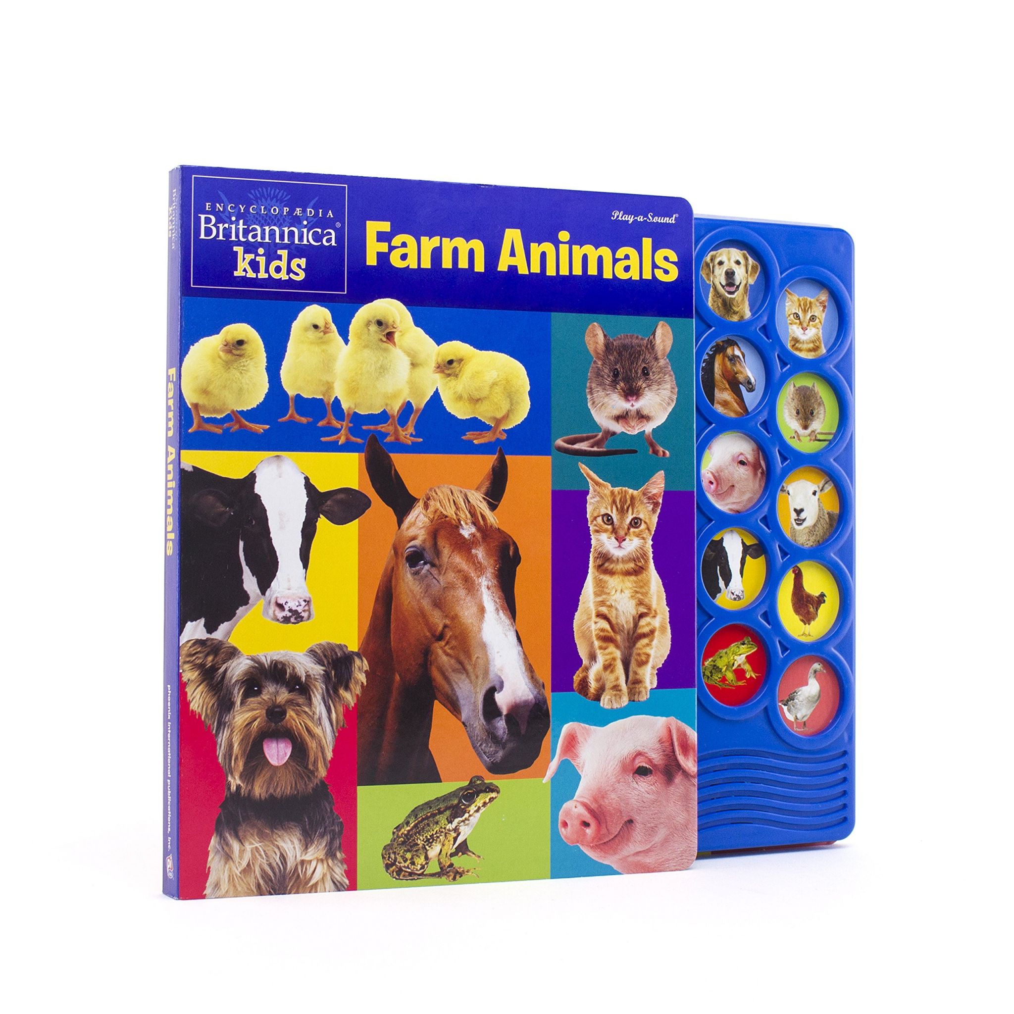 6 Farm Animals Preschool Teaching - AMP