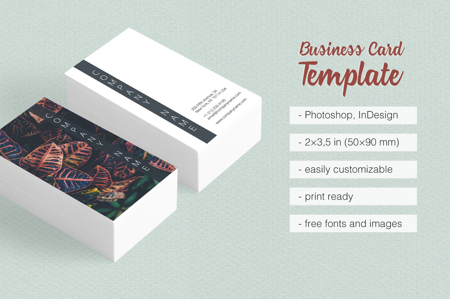 Business Cards Indesign Image Collections Business Card Of Business Card Templates Indesign