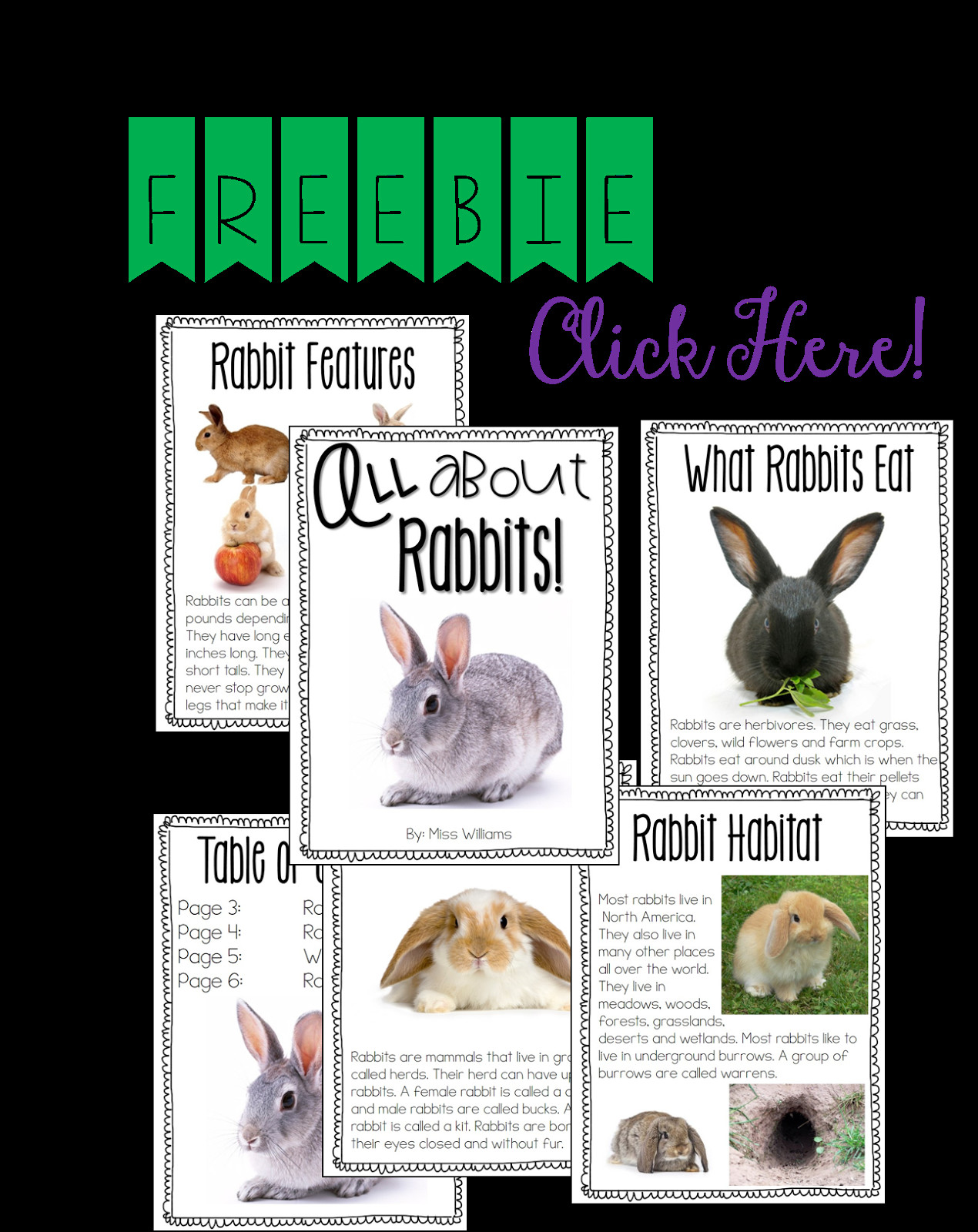 Nonfiction Books are Informative and Filled Fun Activities