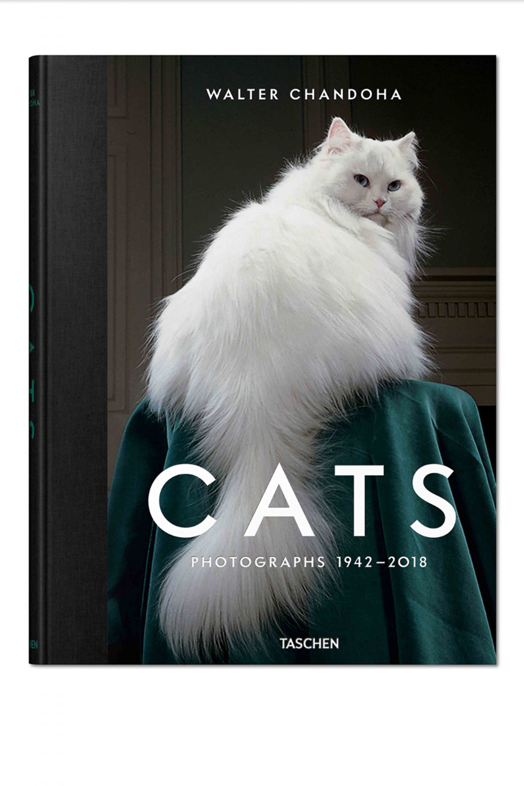 cats coffee table book