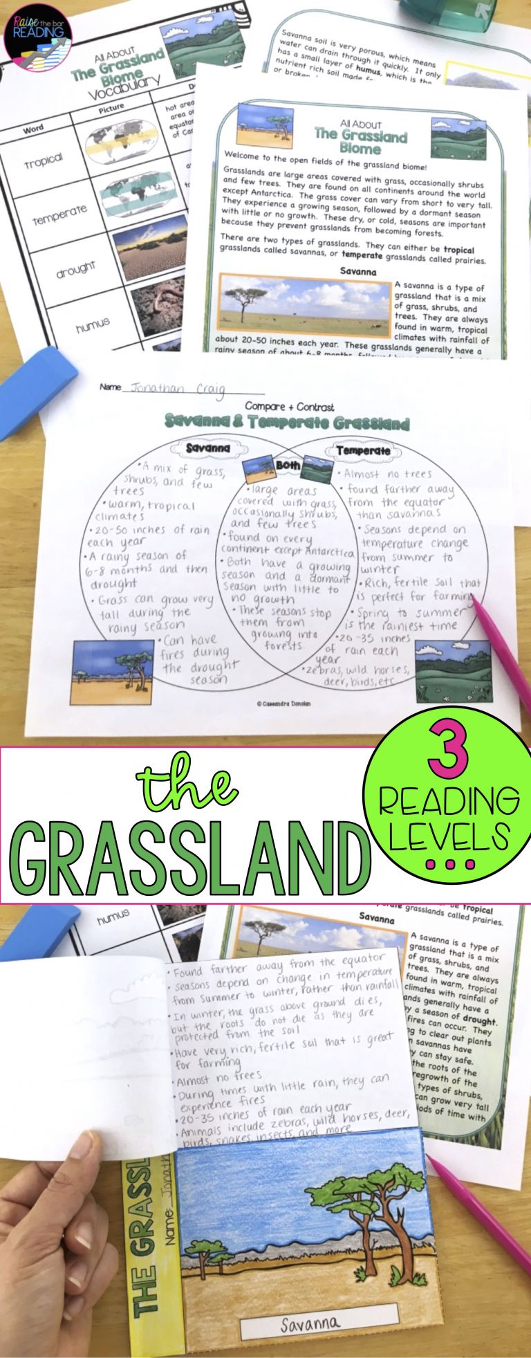 4 Reading Grade 3 Lessons AMP