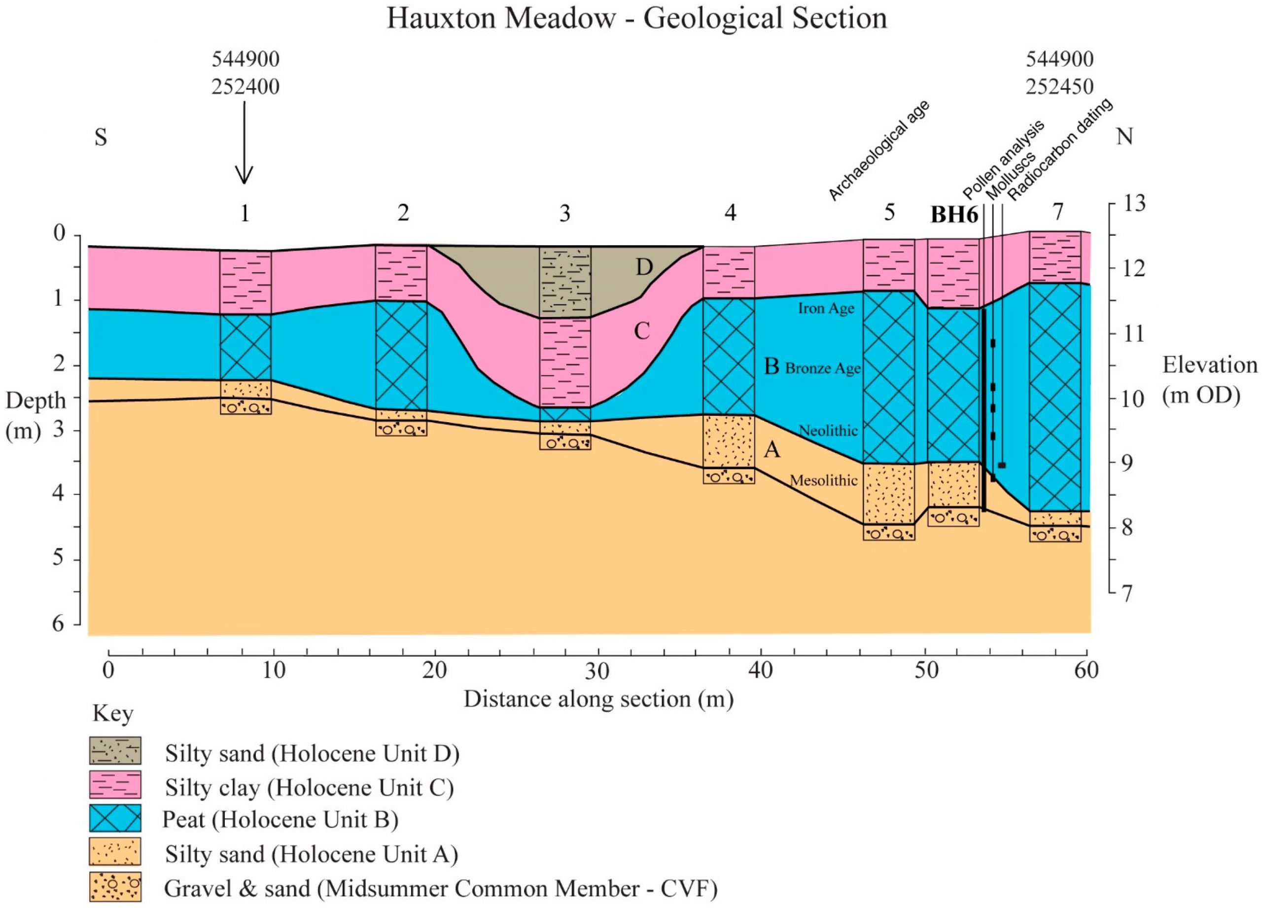 quaternary 02 g011