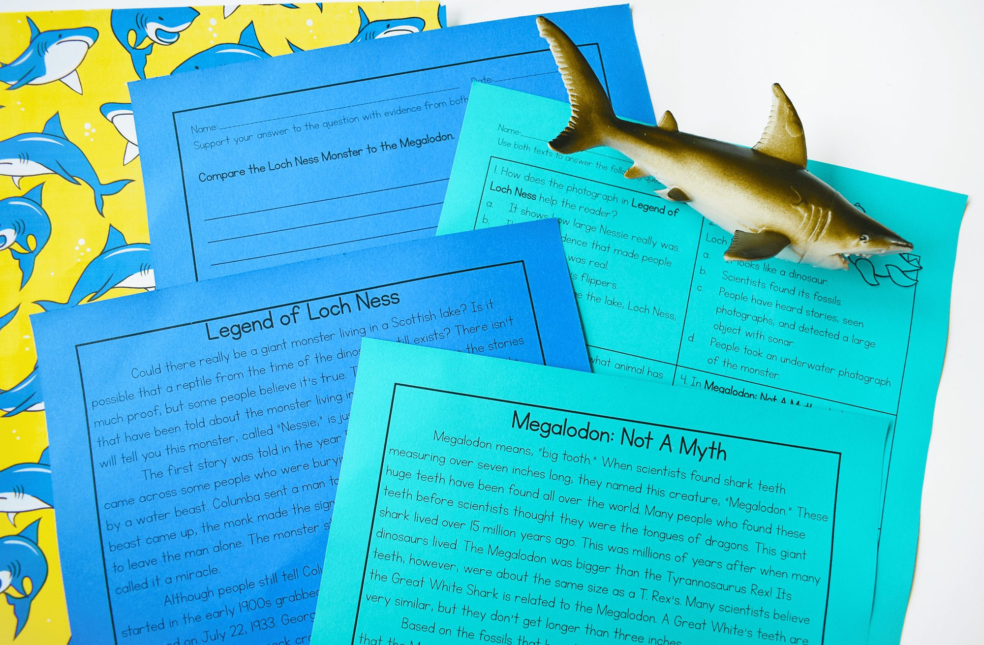 Animals Of the Sea Worksheets