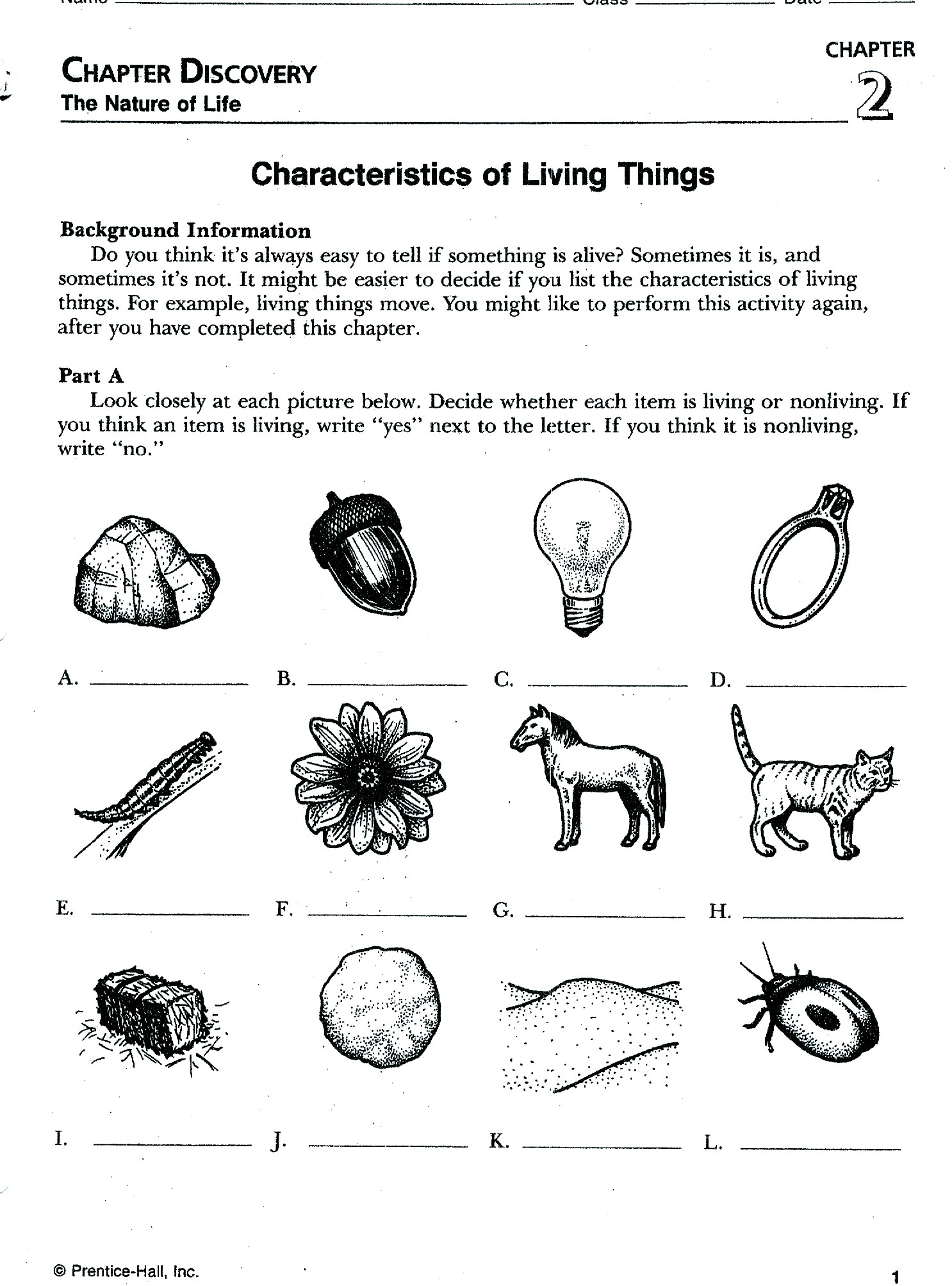 characteristics of living things wks