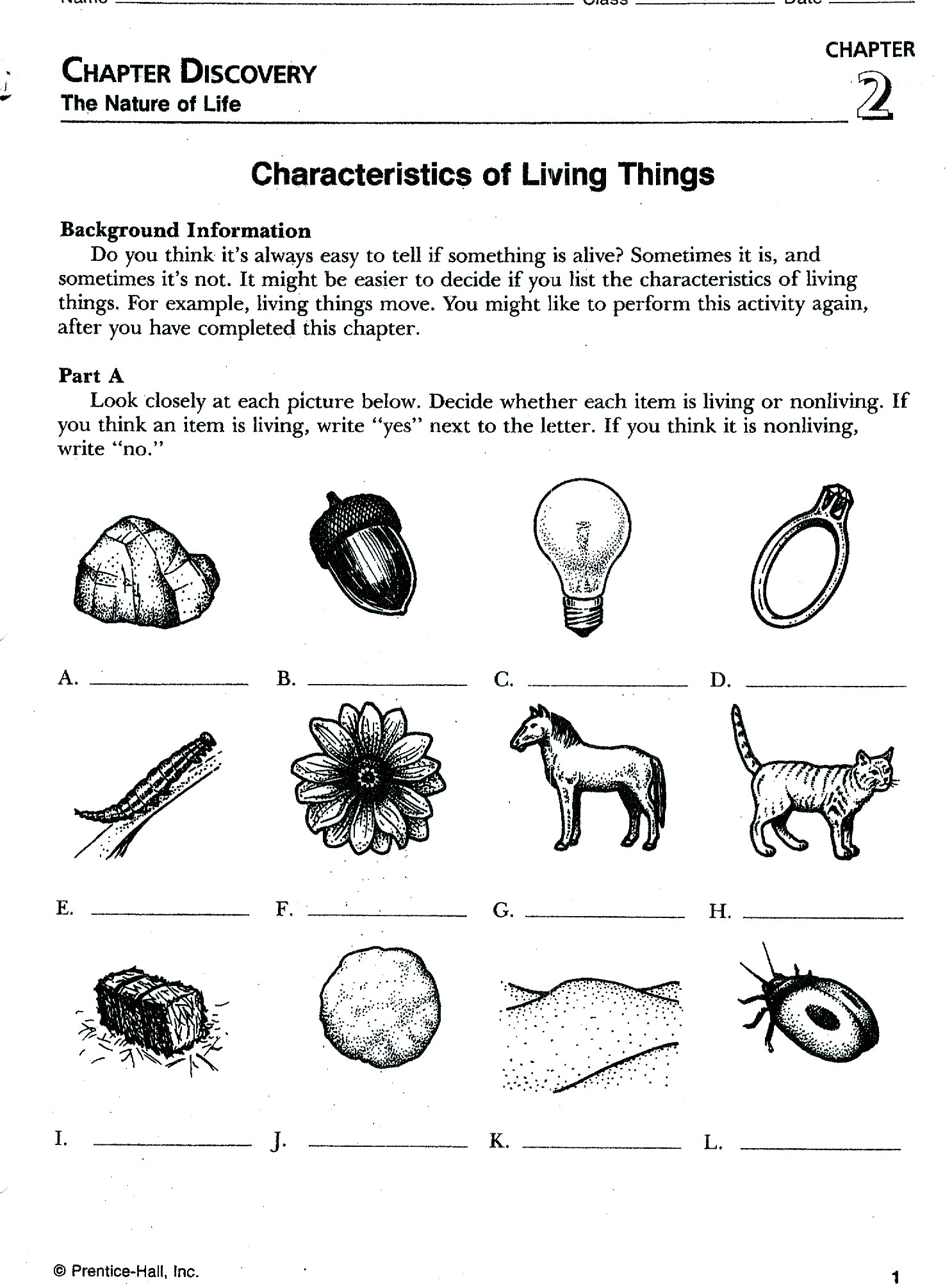 Animals Of the Zoo Worksheets