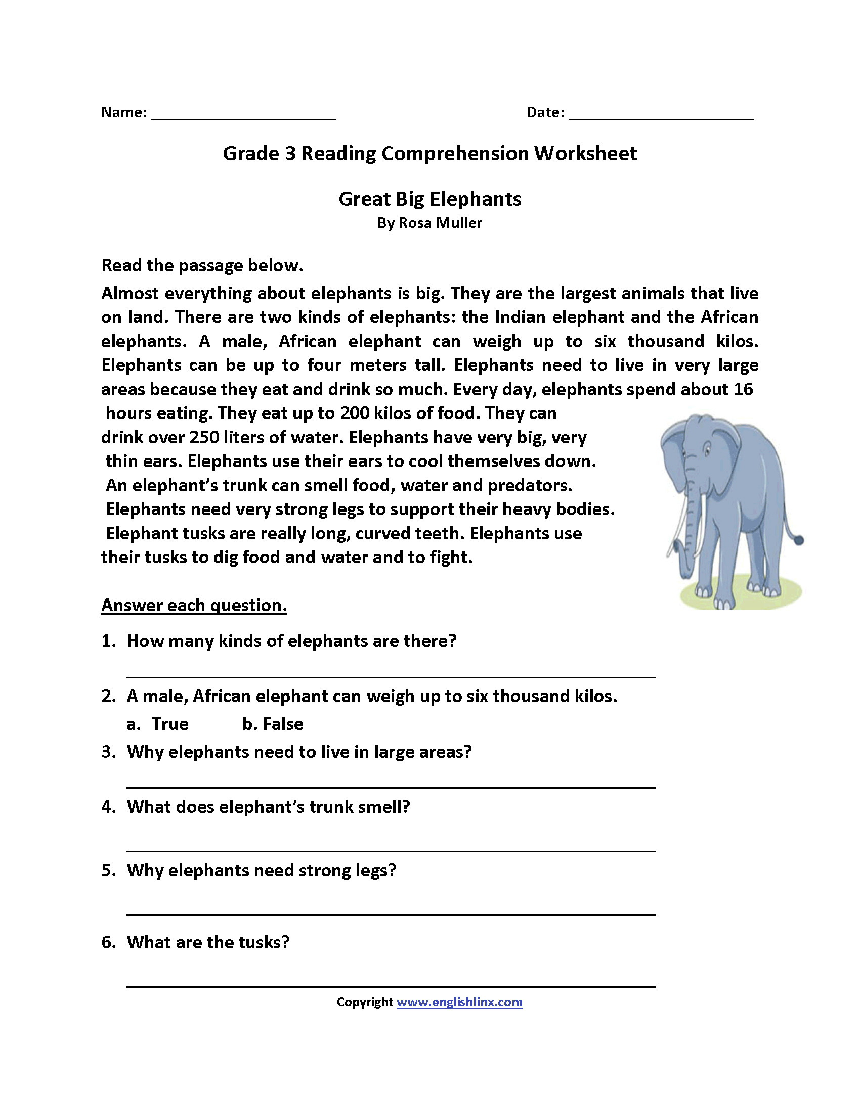 Animals Of the Zoo Worksheets