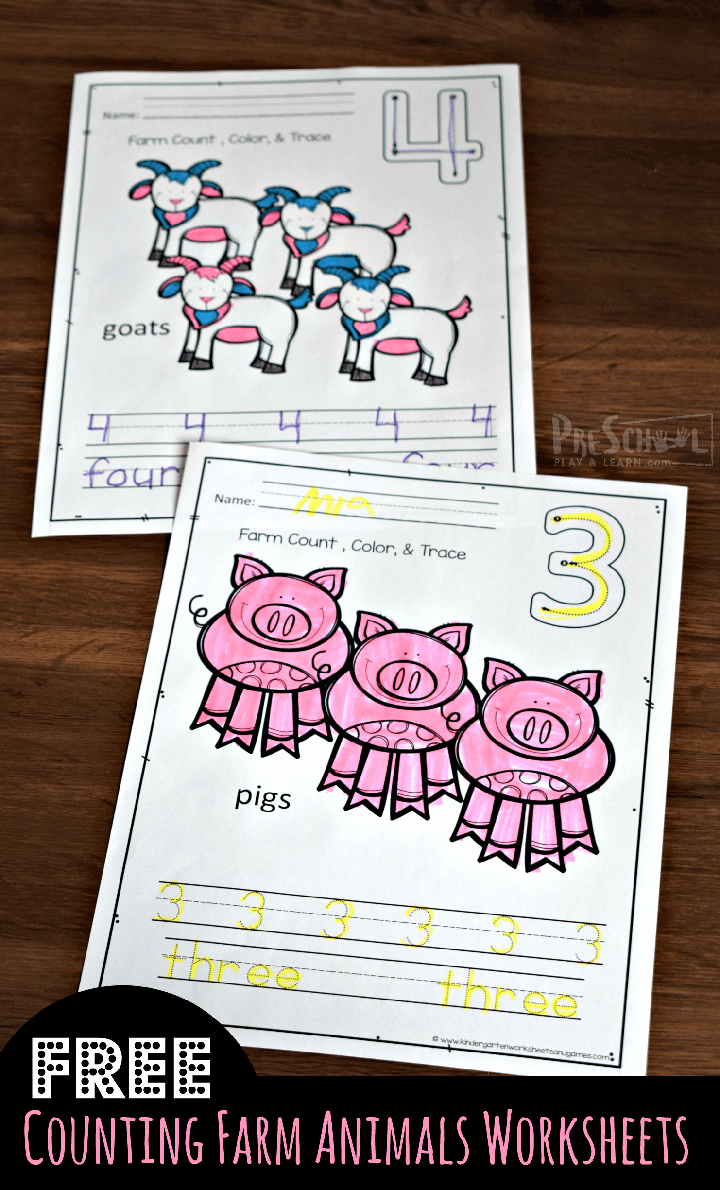 Animals Worksheets Domestic