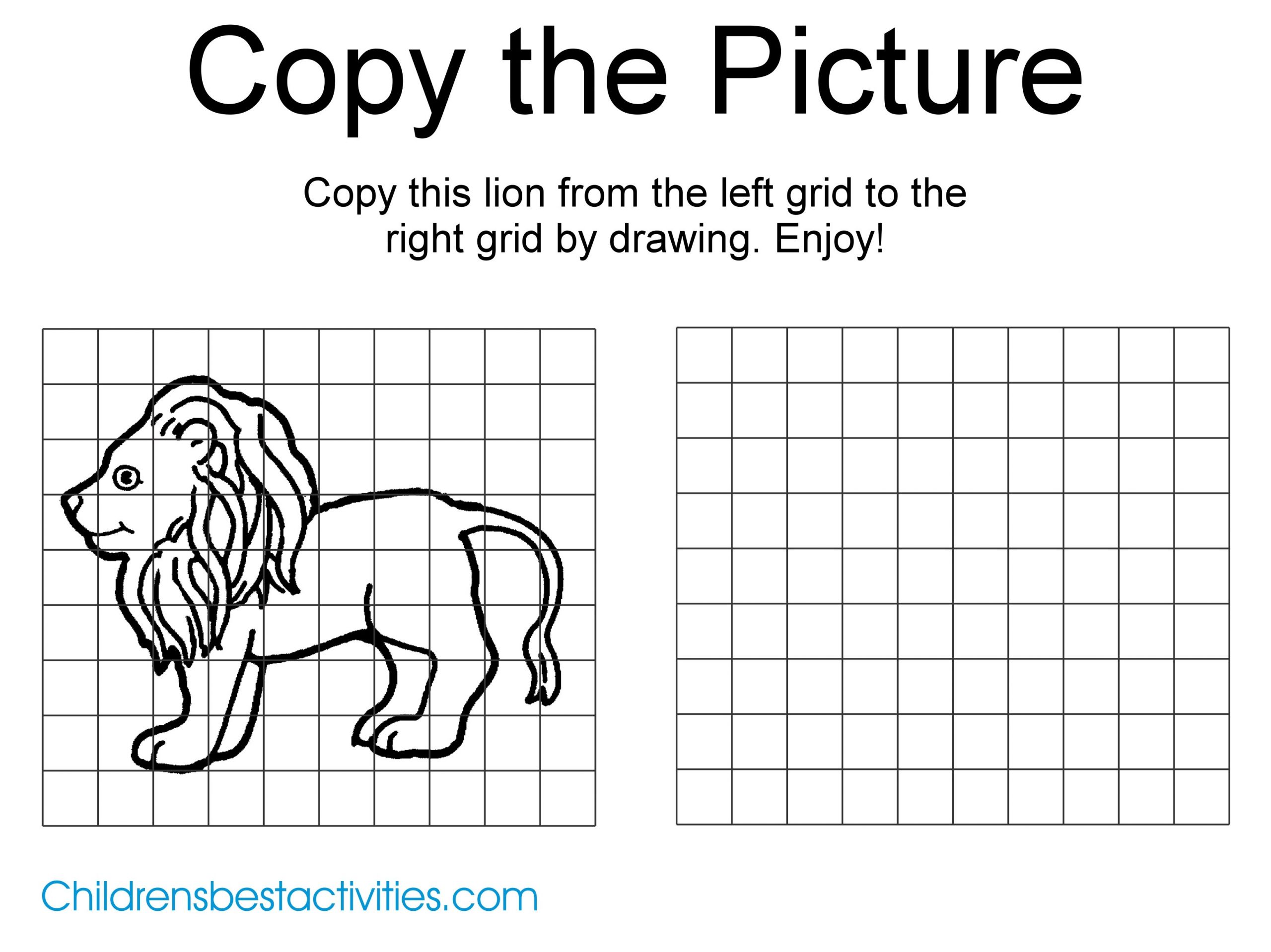 copy the picture Lion2