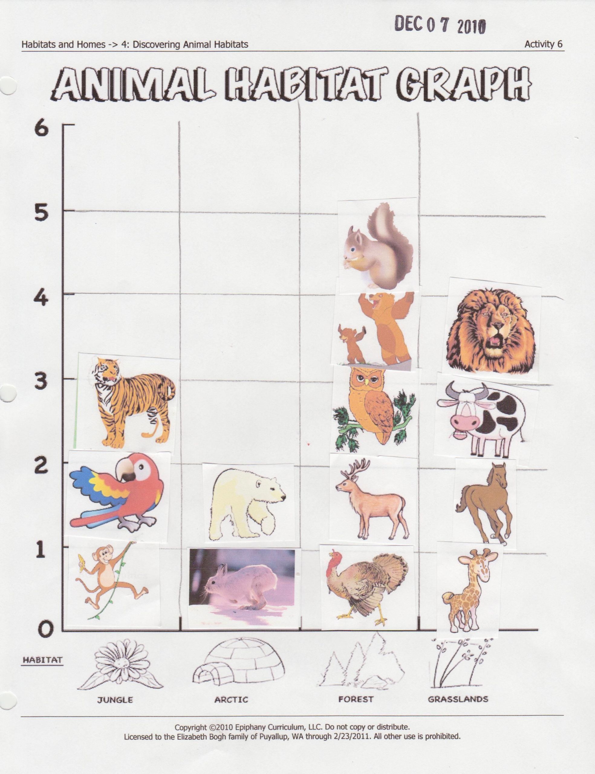 Animals Worksheets First Grade