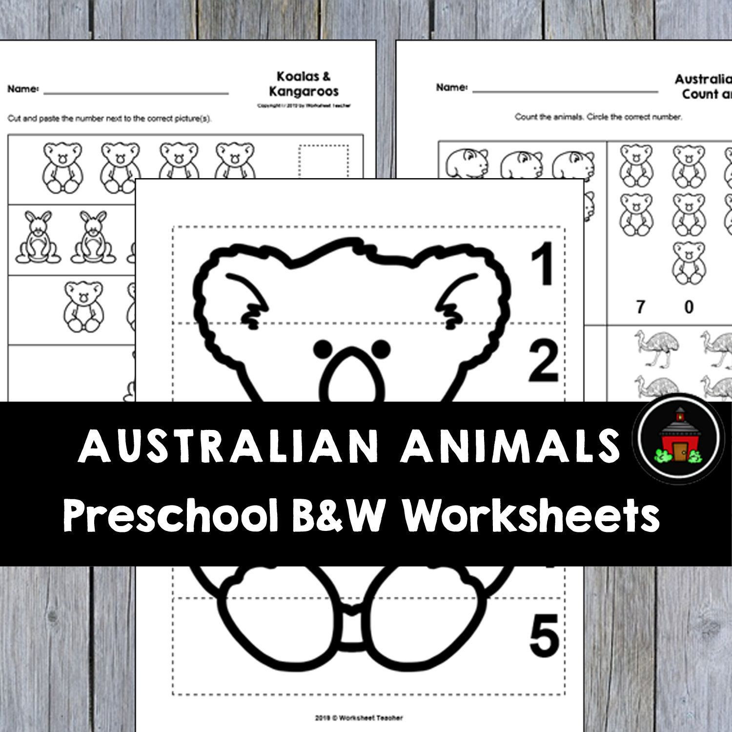Animals Worksheets for Grade 1