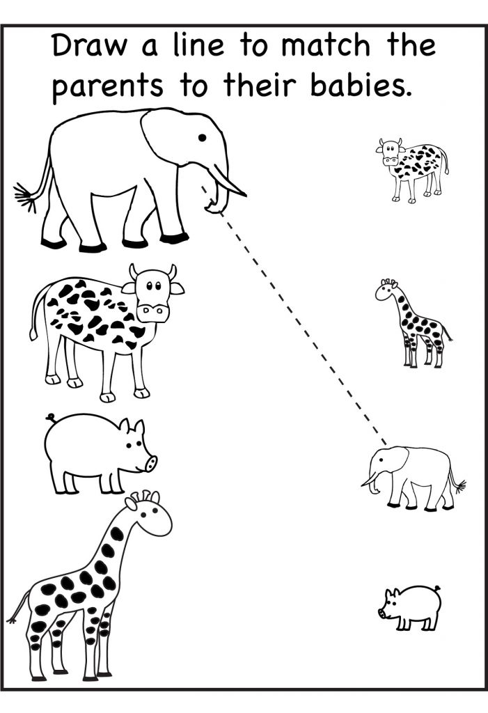 6 Animals Worksheets for Kids Activities - AMP