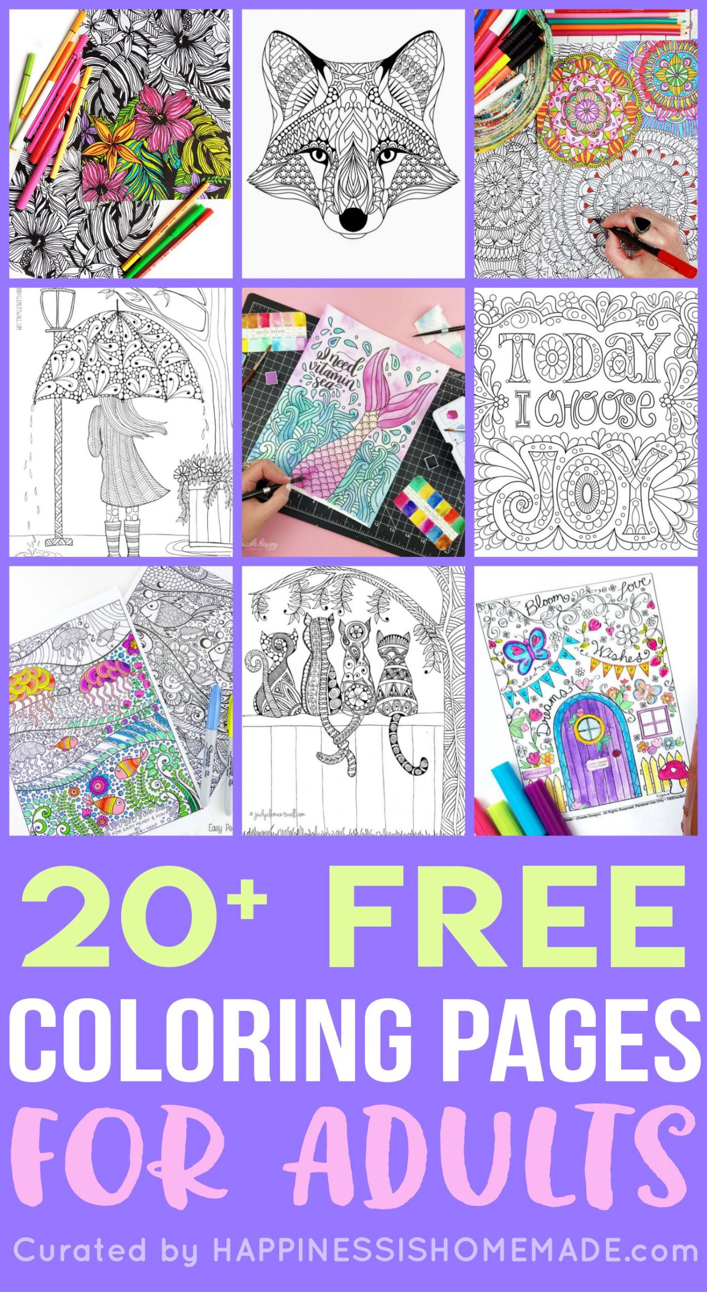 free adult coloring pages printable for adults still color hummingbird worksheets students