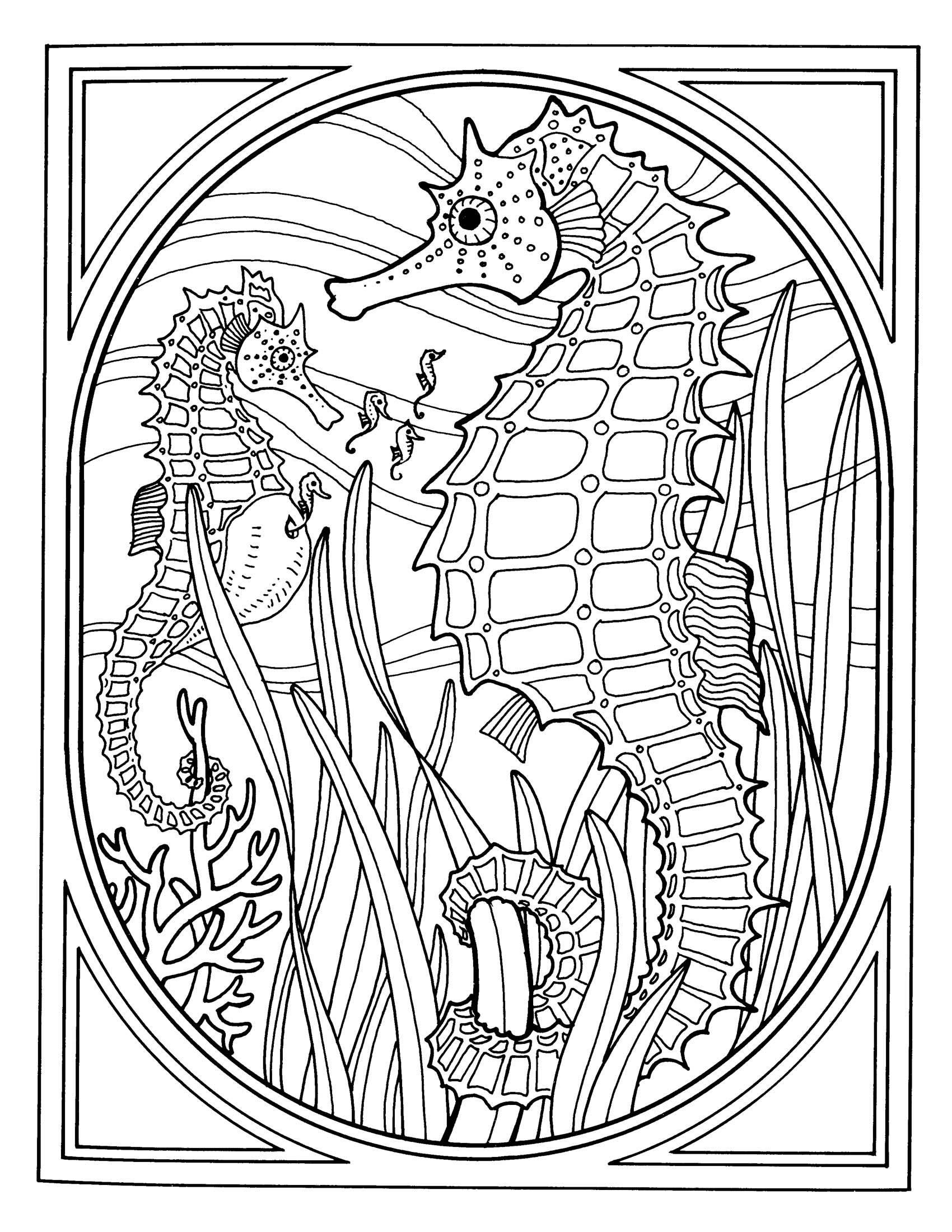 free printable sea life coloring pages 9