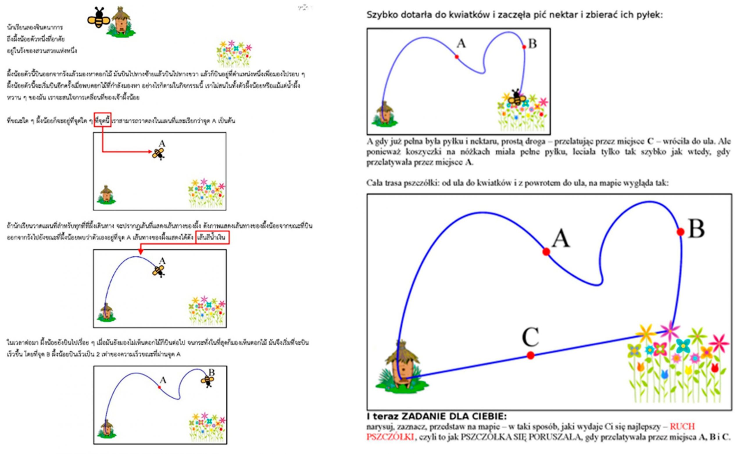 Animals Worksheets for Kids Sea