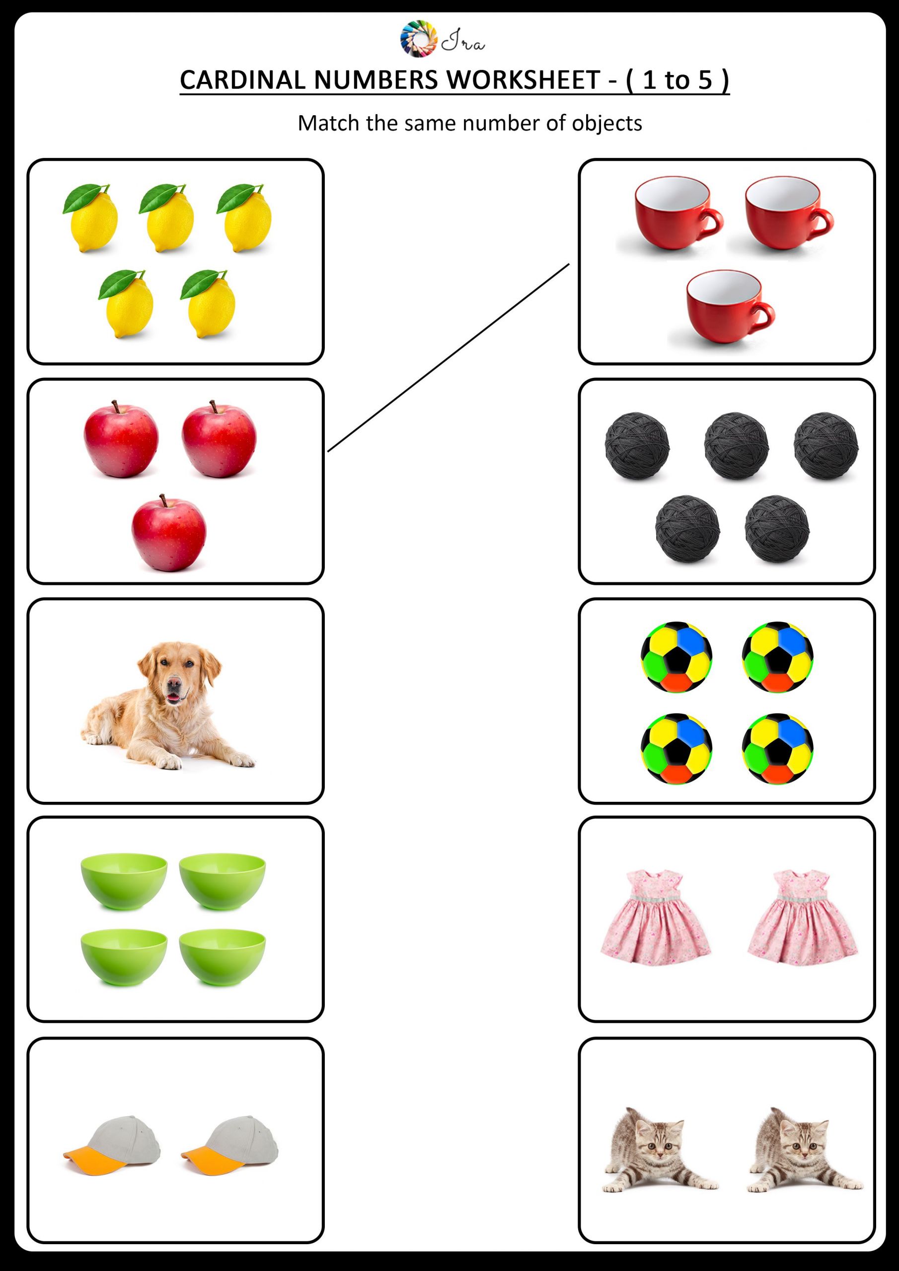 Animals Worksheets for Kindergarten