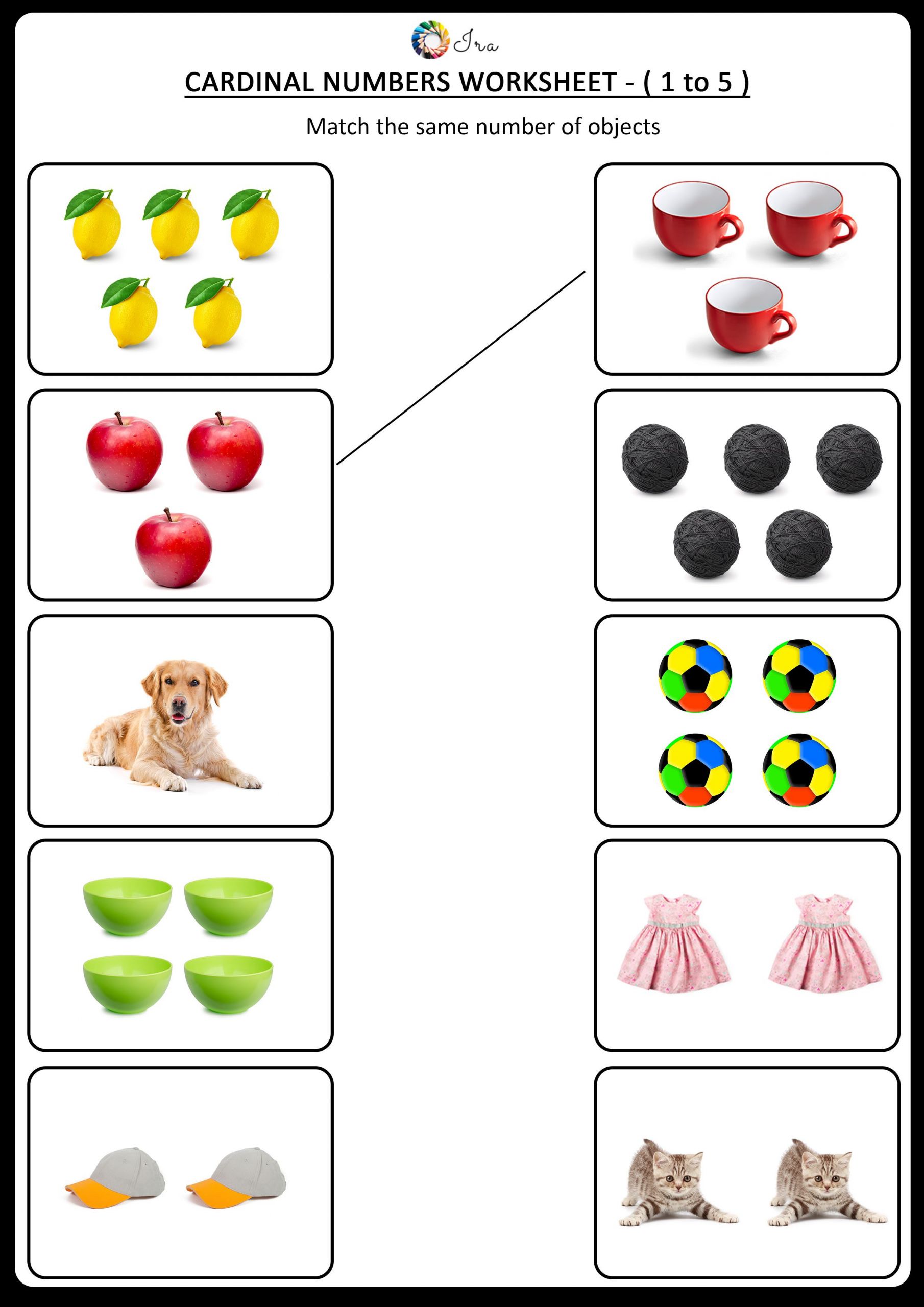 Animals Worksheets Free