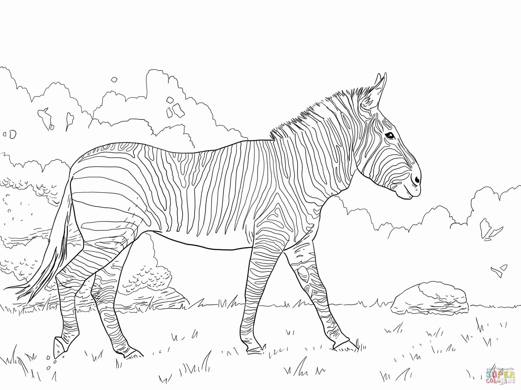 holiday coloring sheets for preschoolers best of free zebra coloring pages to print of holiday coloring sheets for preschoolers