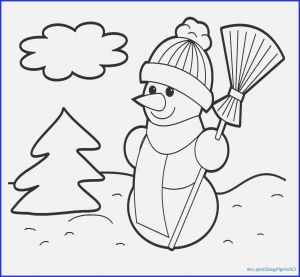 7 Animals Worksheets - AMP
