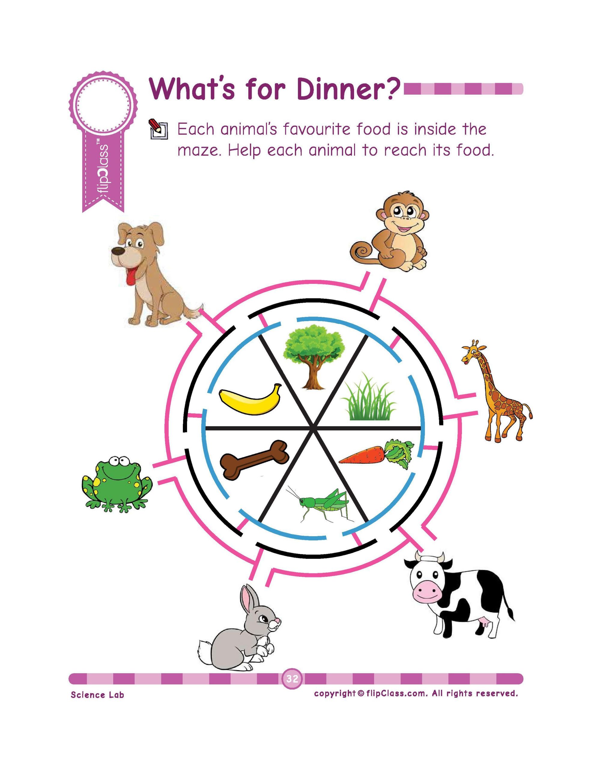 Animals Worksheets Parts Of the