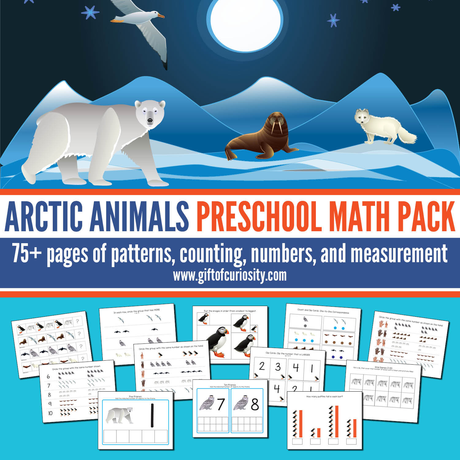 Animals Worksheets Preschool Activities