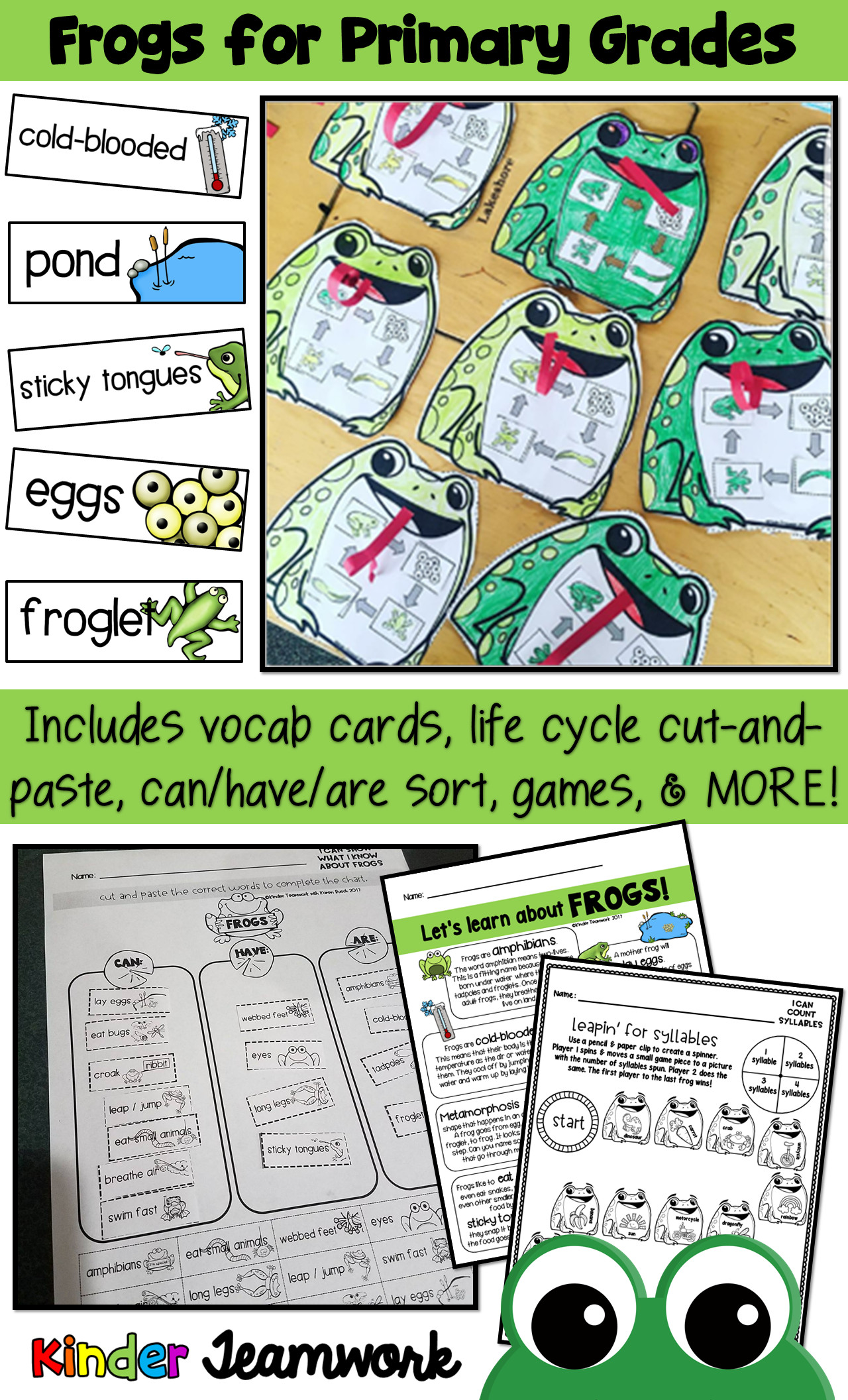 Animals Worksheets Primary