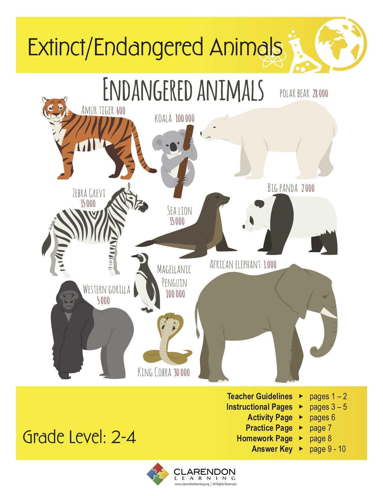 Animals Worksheets Student