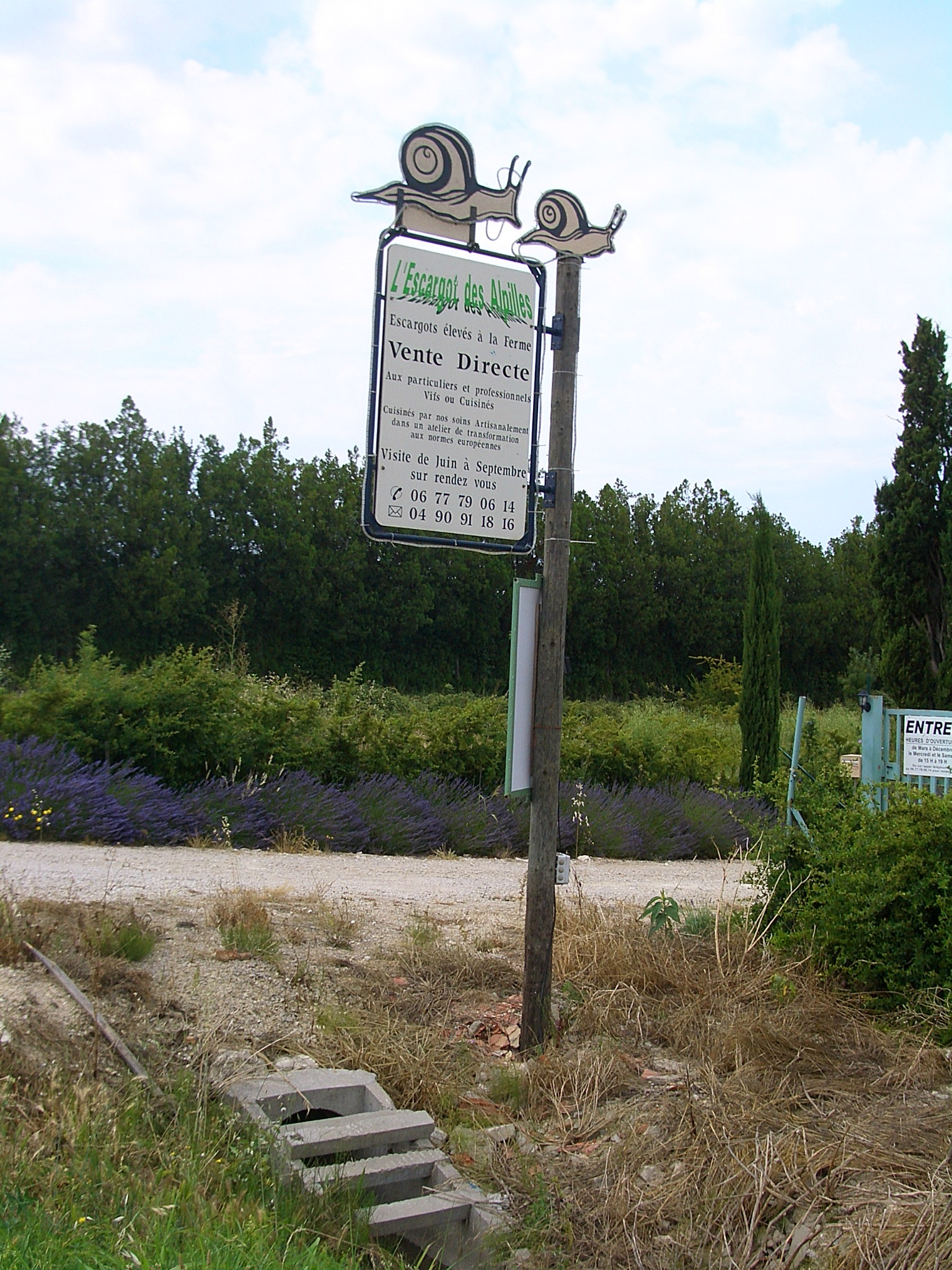 Eyragues l Escargot des Alpilles 5738