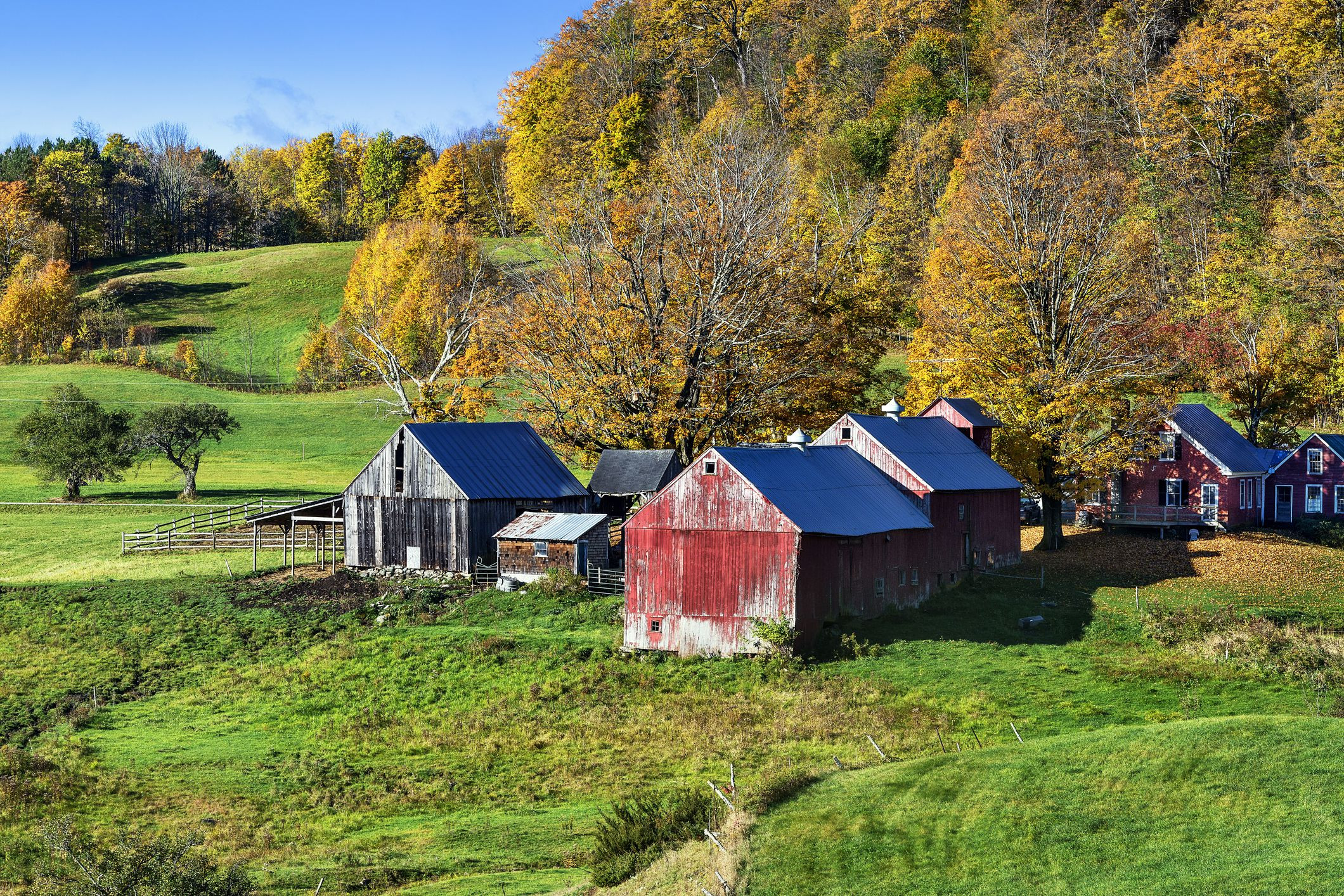 colourful autumn farm 5b02dc2ea18d9e003cdad69e