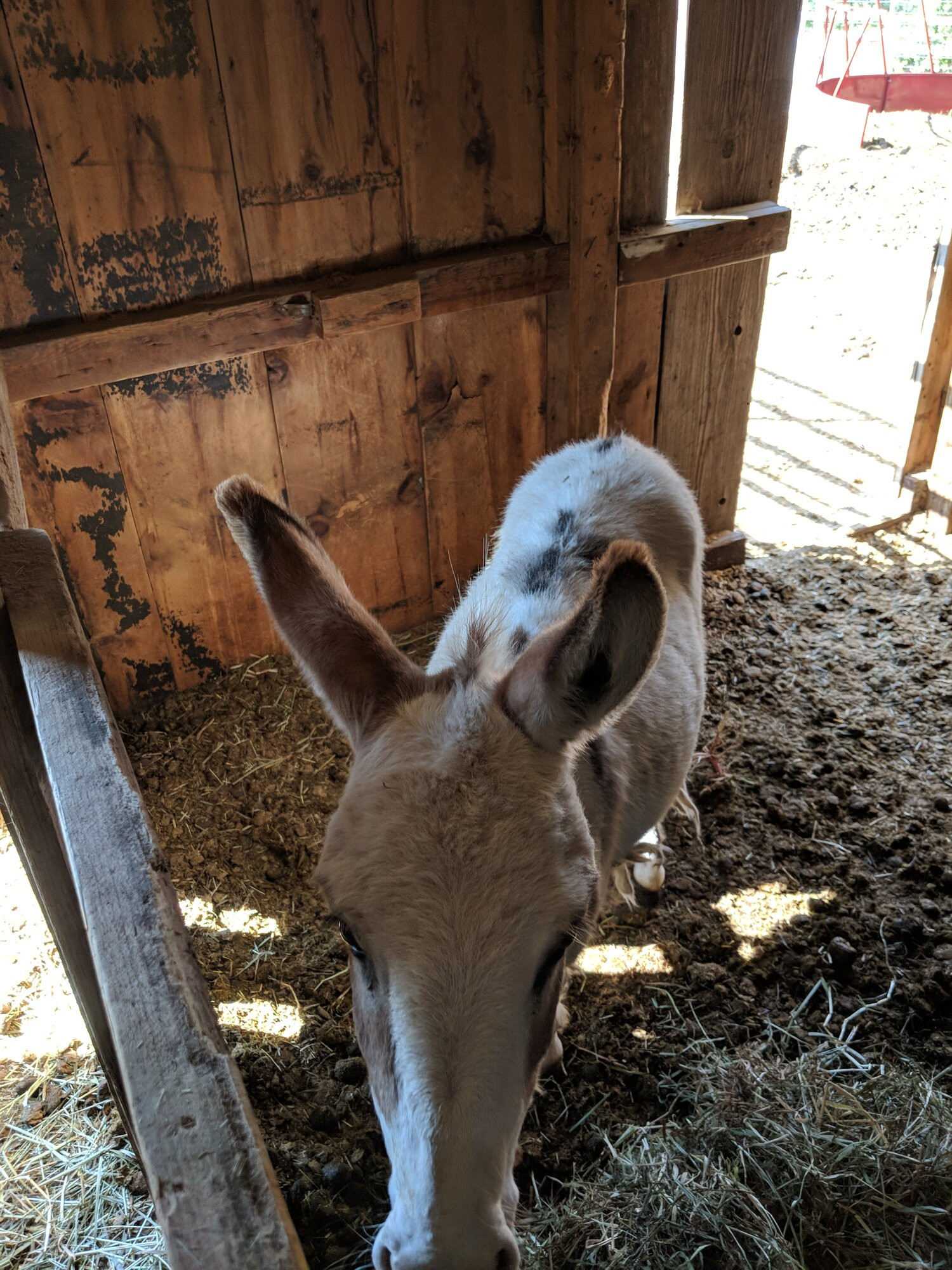 Barn Crafts for Kids Farm Animals