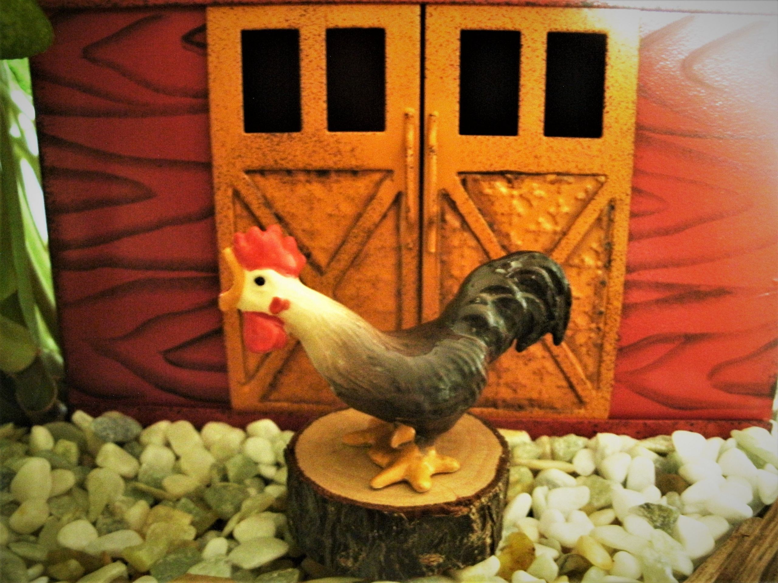 Chickens and Roosters Farm Animals