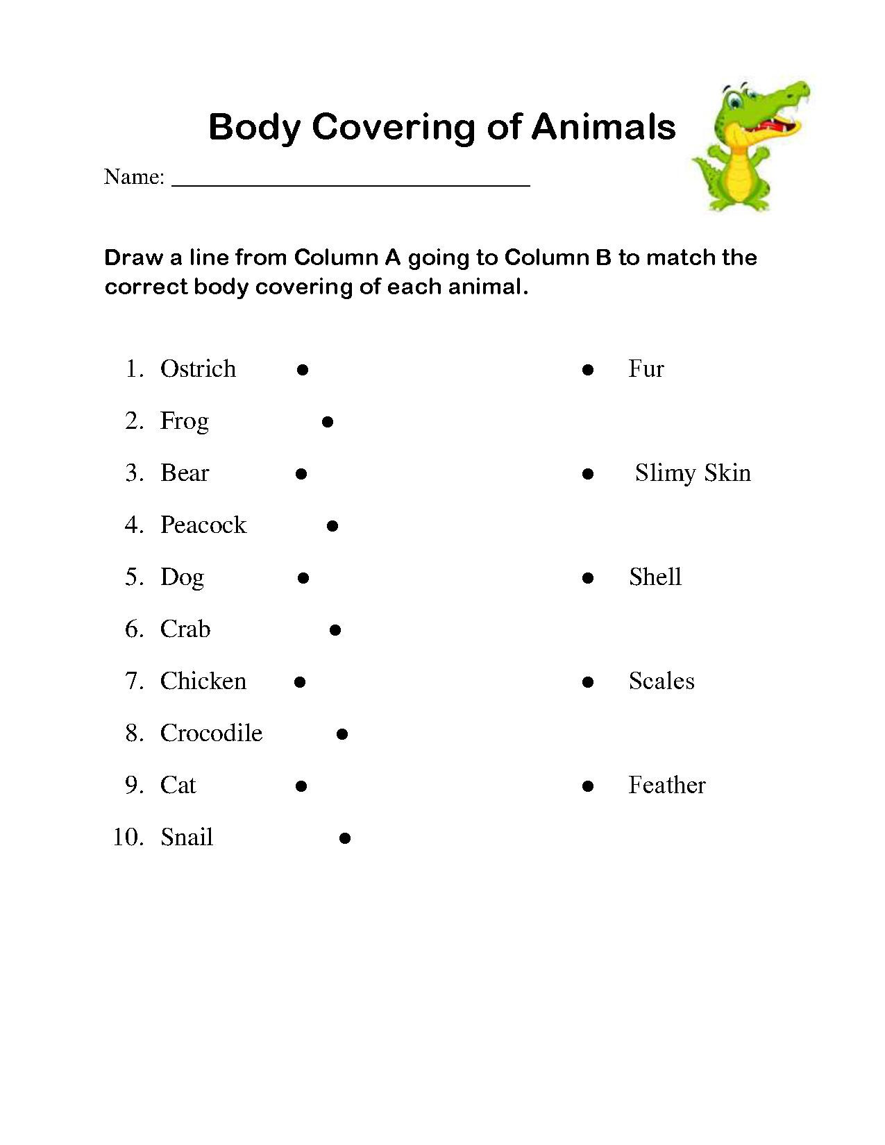 Classifying Animals Worksheets