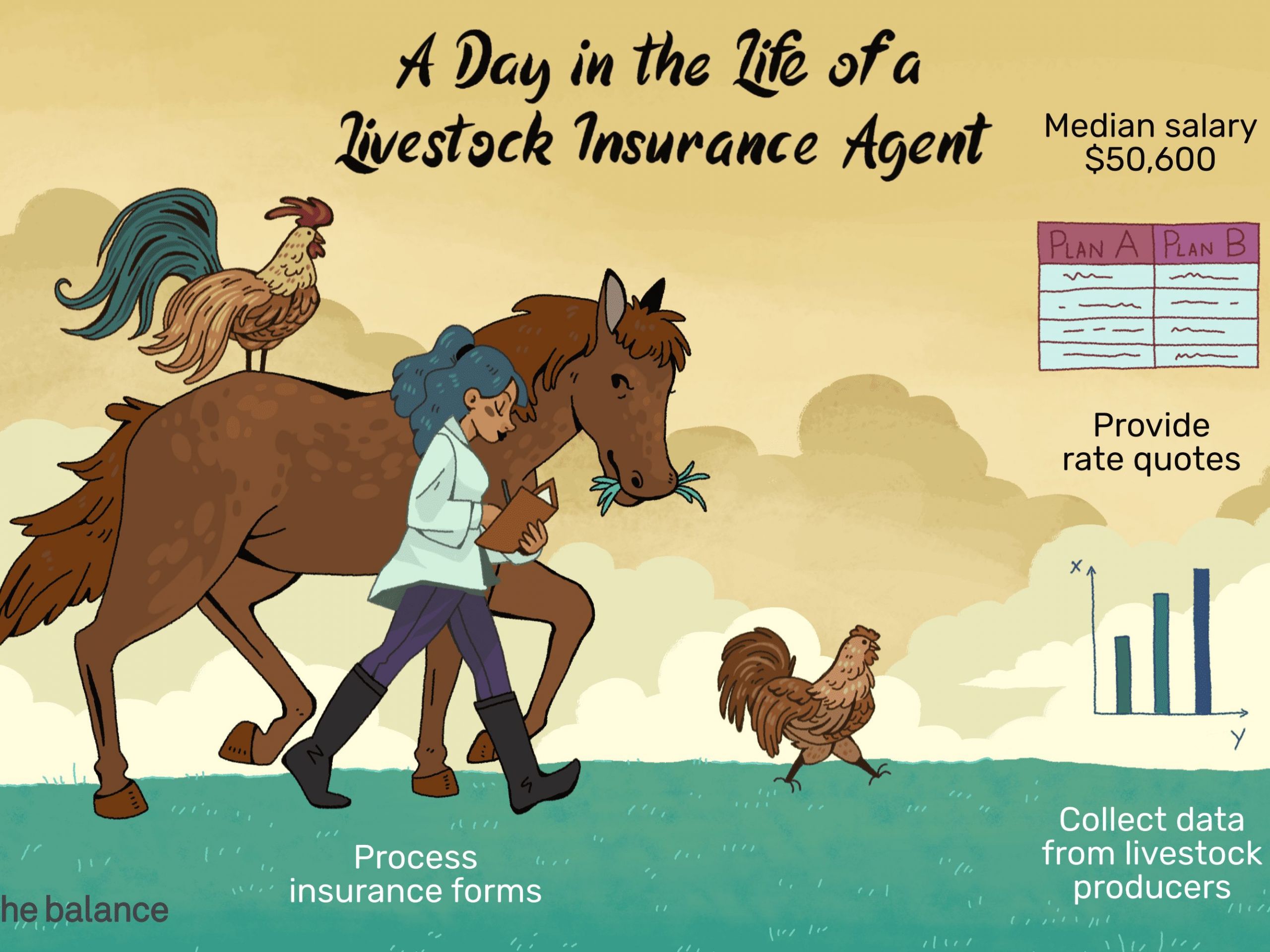 livestock insurance agent FINAL 3bc1a d40a a9ebe0e