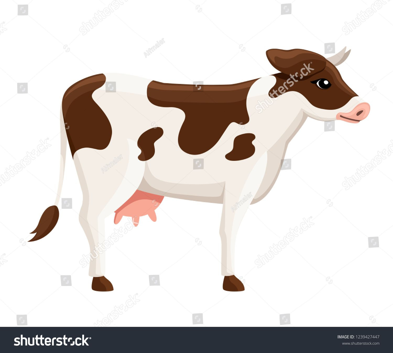 Cow Vector Illustration Farm Animals