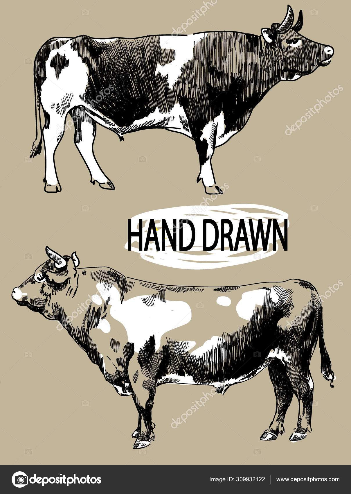 Cow Vector Illustration Farm Animals