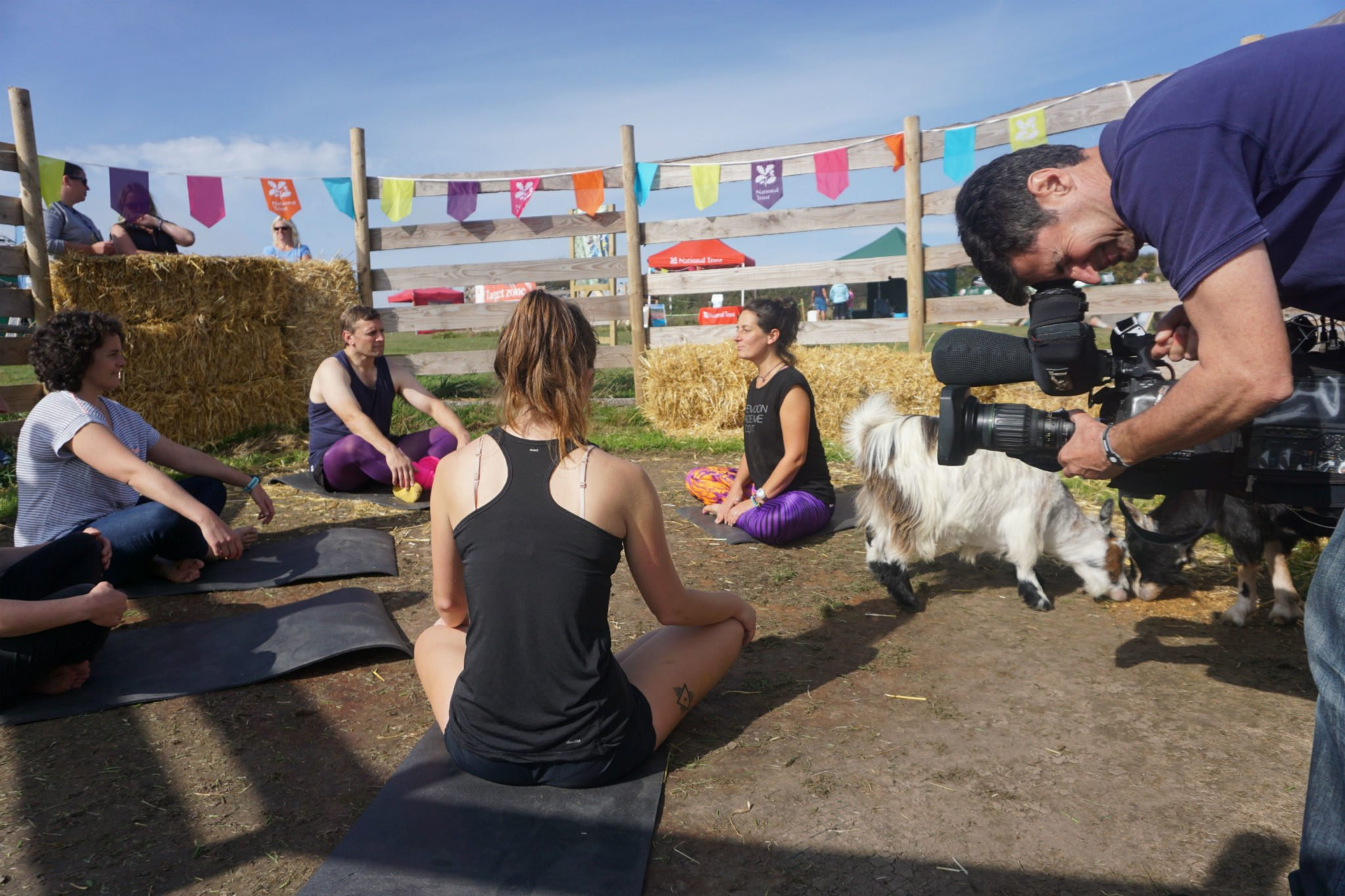 Donna goat yoga David Bassett