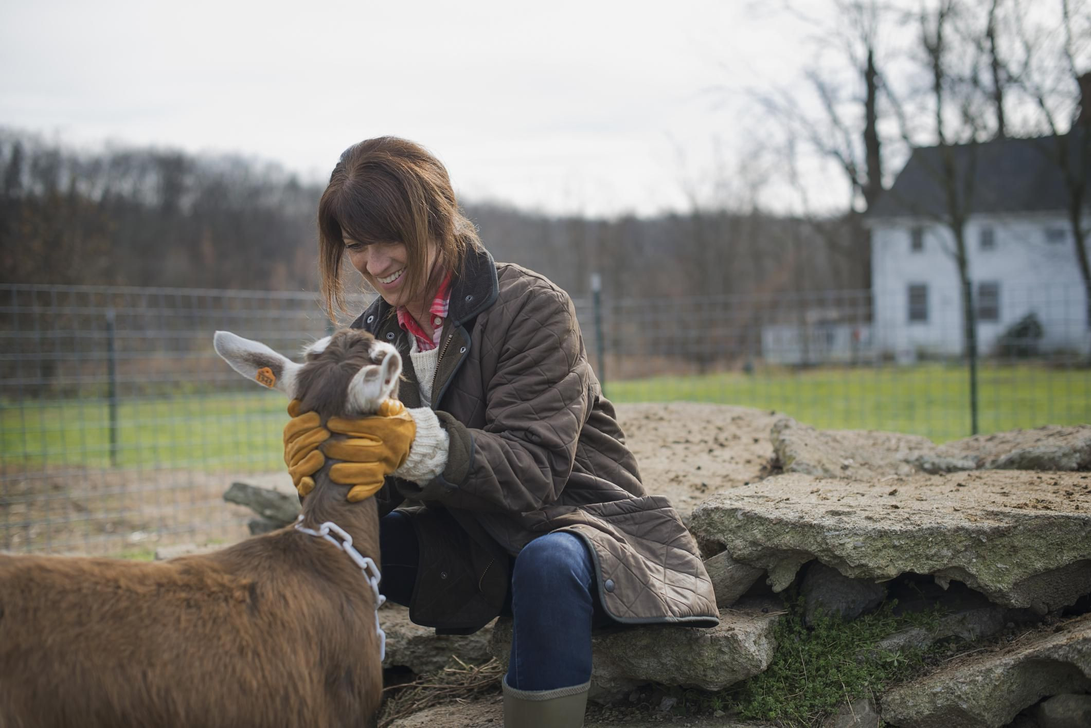 Easy Hobby Farm Animals