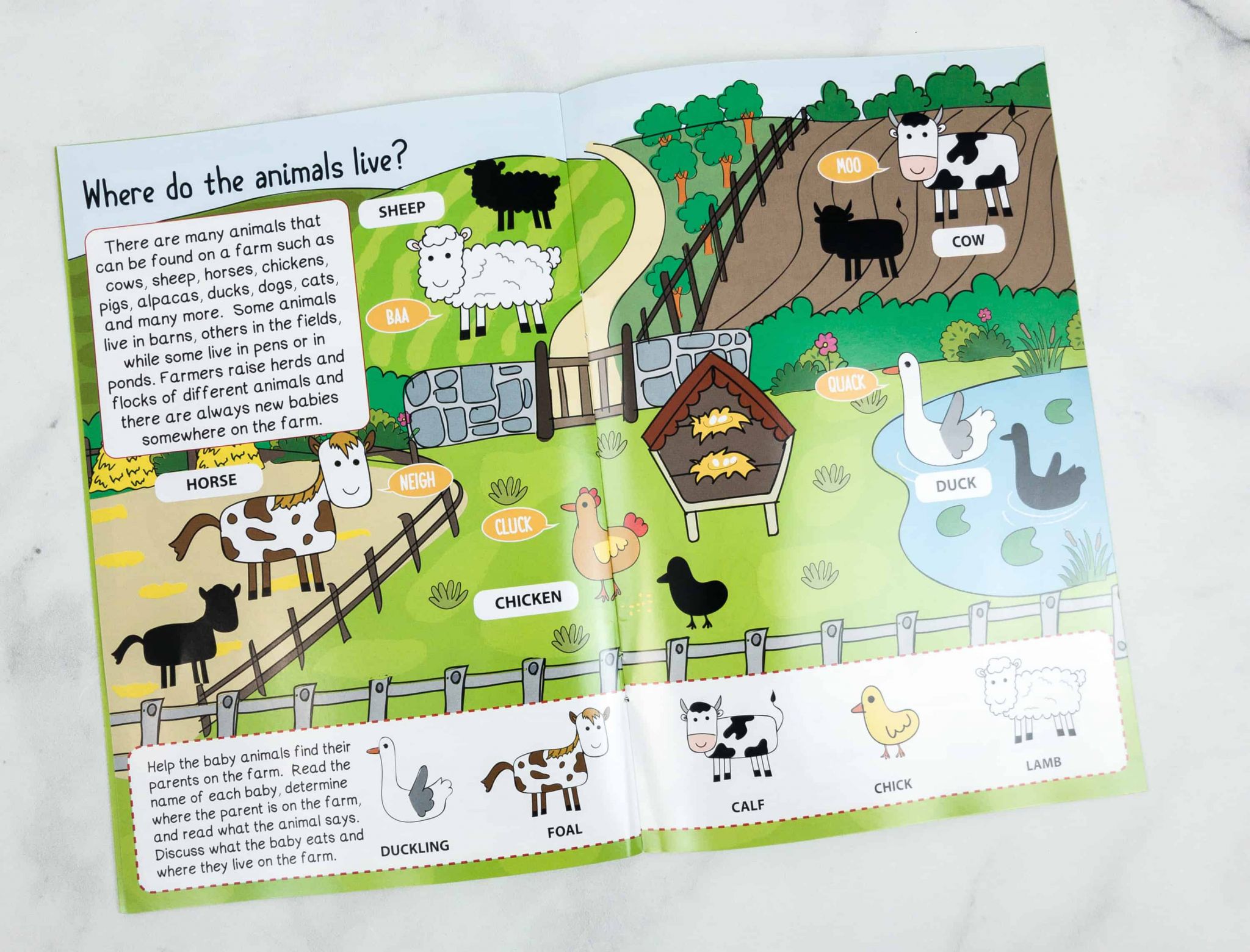 7 Farm Animals Pictures for Nursery - AMP