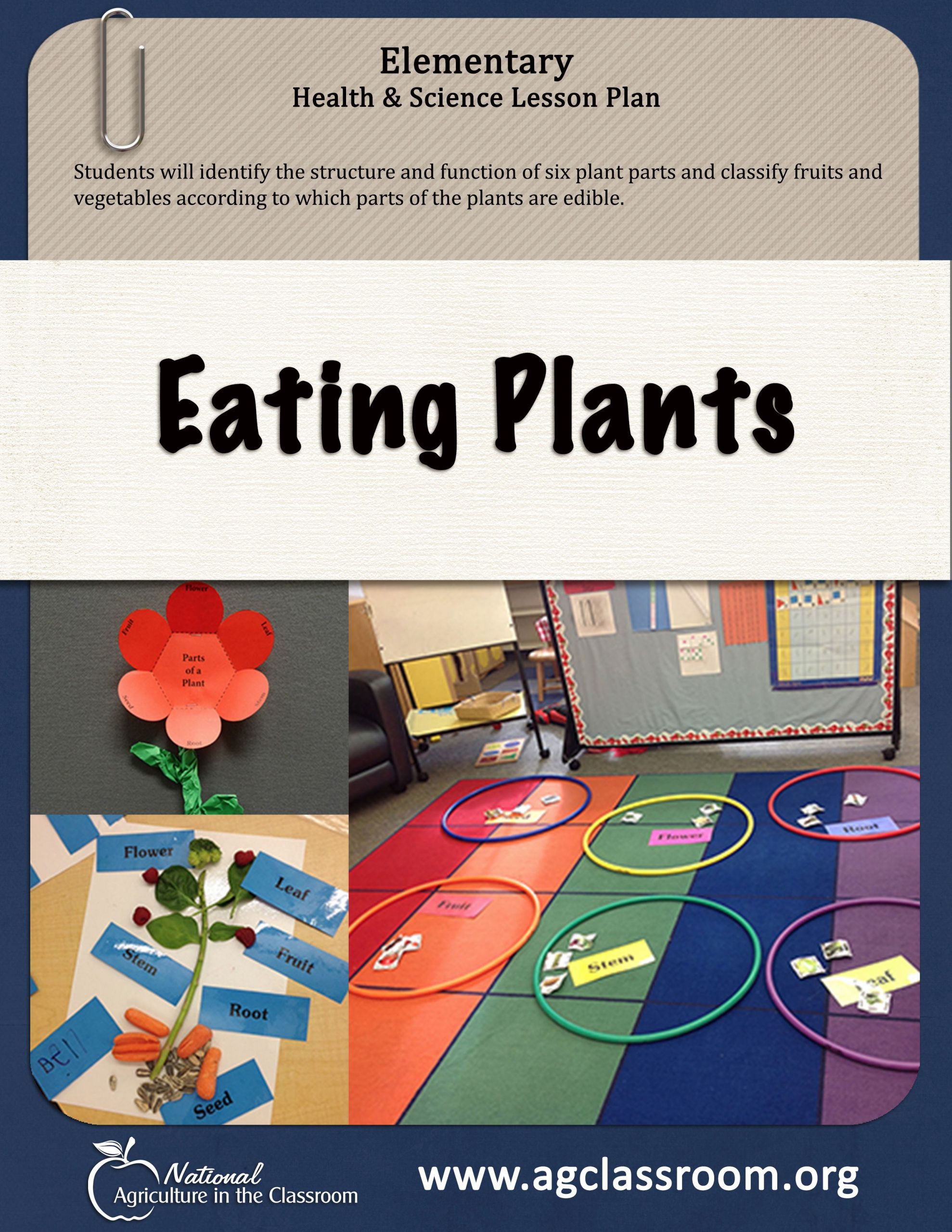 Farm Animals Activities Lesson Plans