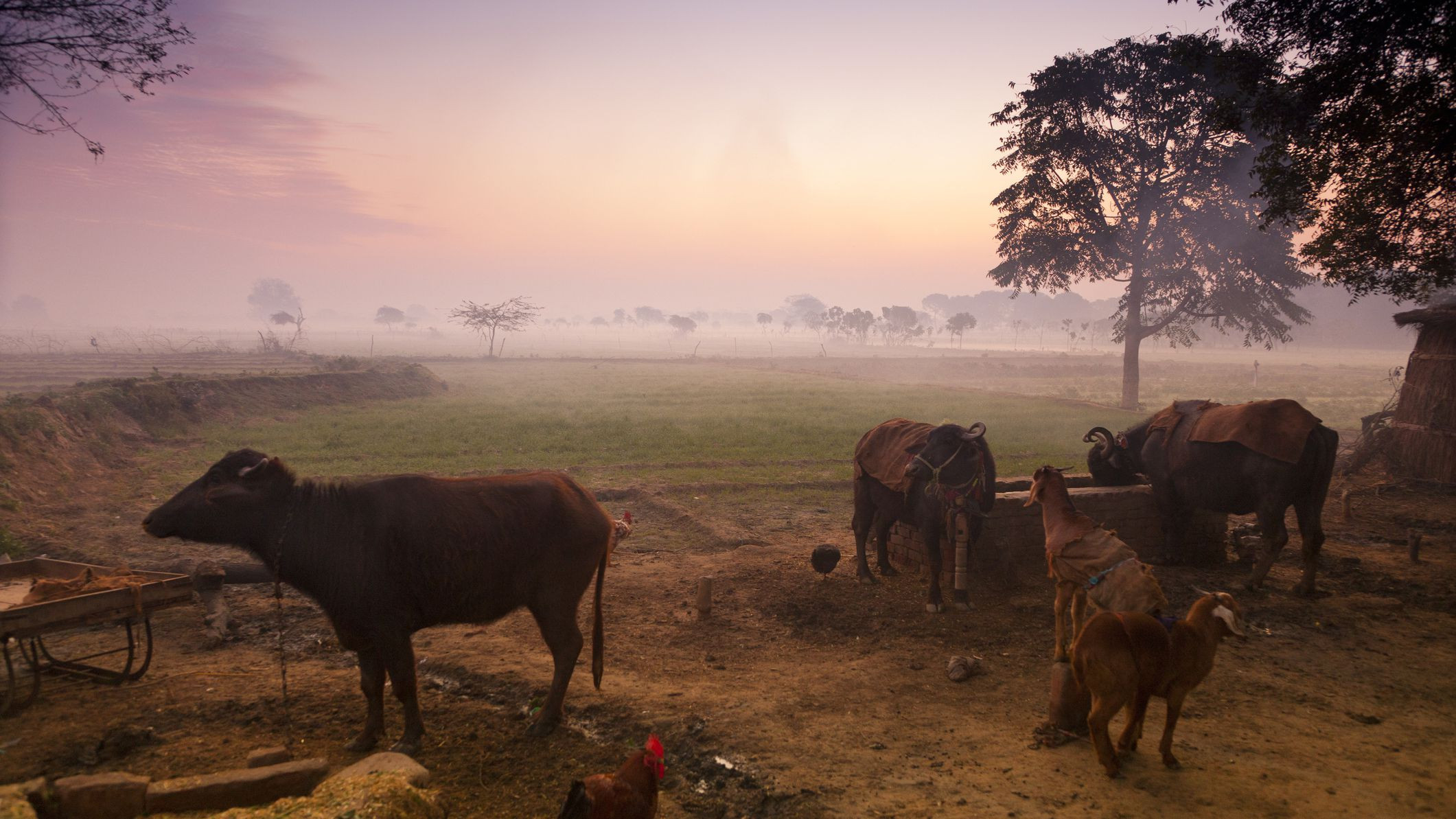 Farm Animals Art for Preschoolers