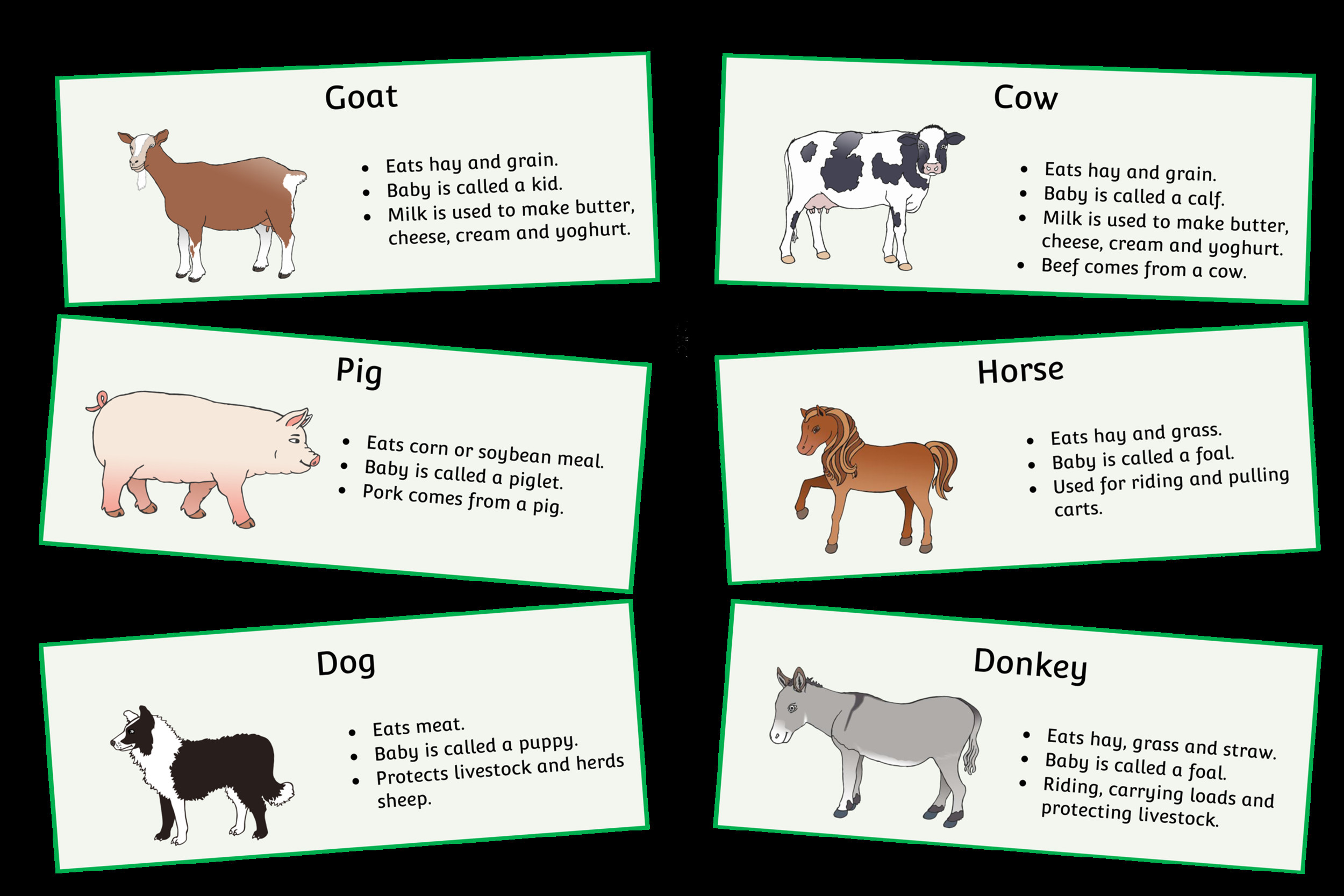 Farm Animals Fact Cards Cover