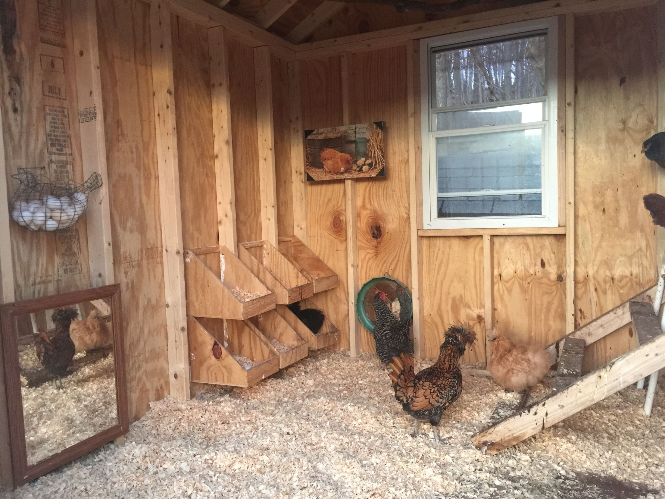 Farm Animals Barn Chicken Coops