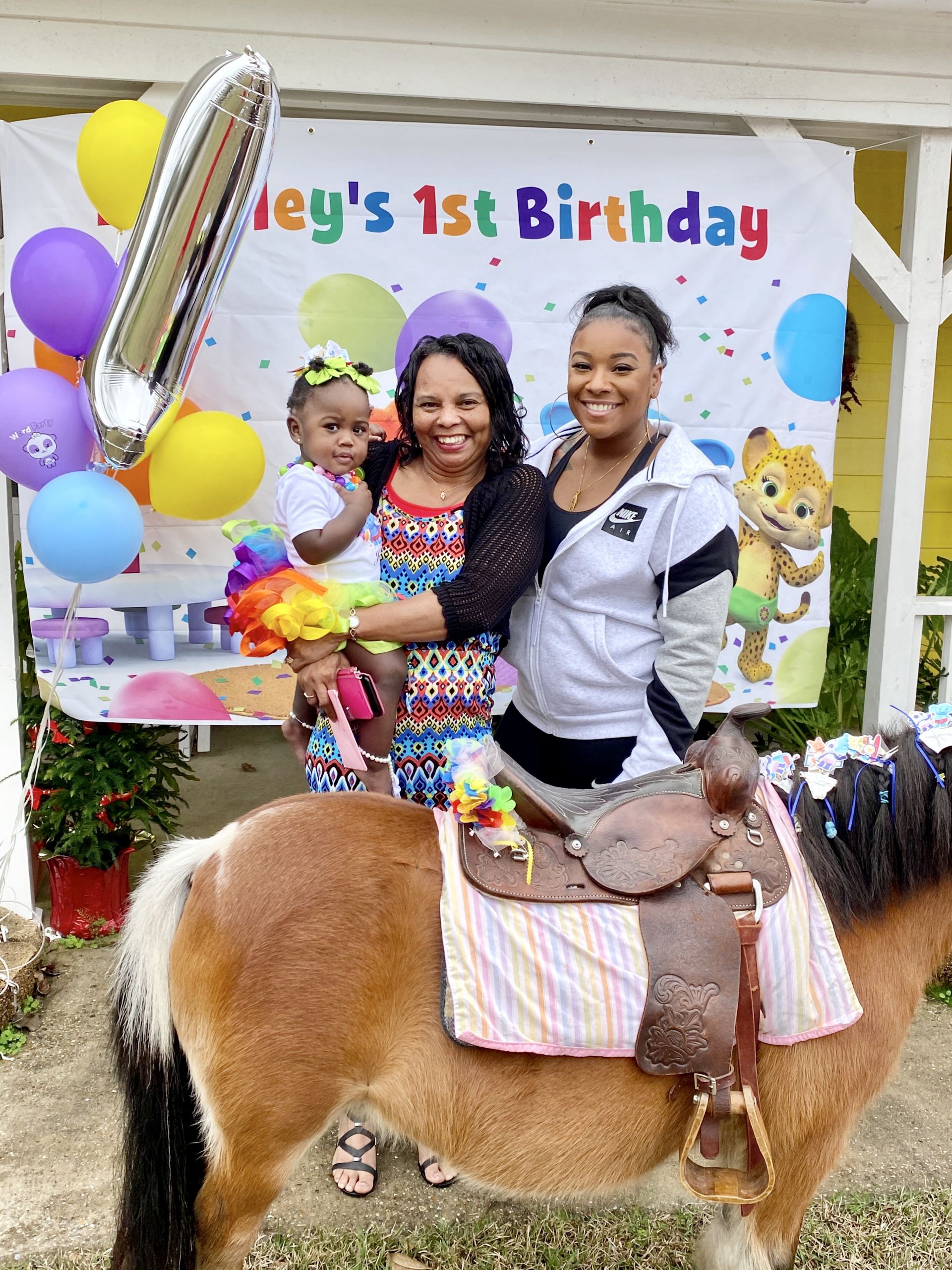 Farm Animals Birthday Party 1st