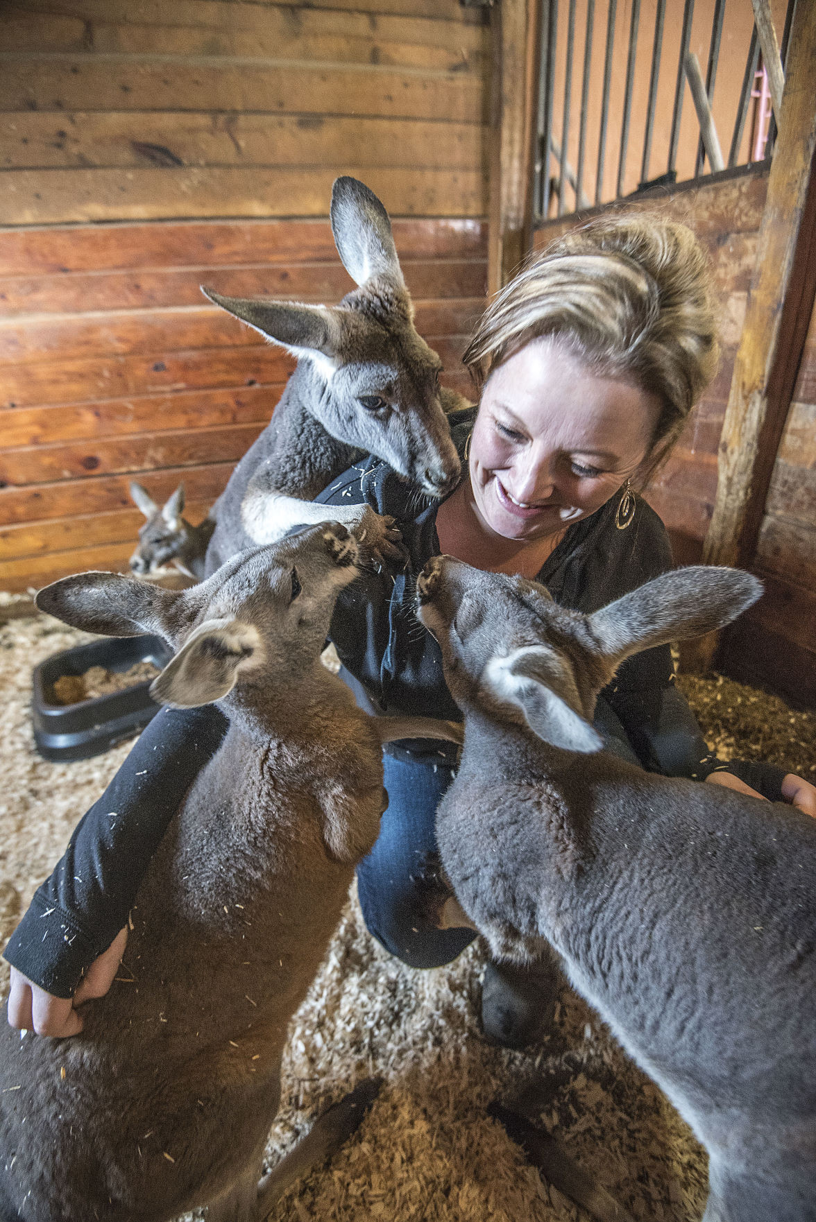 Farm Animals Birthday Party Baby