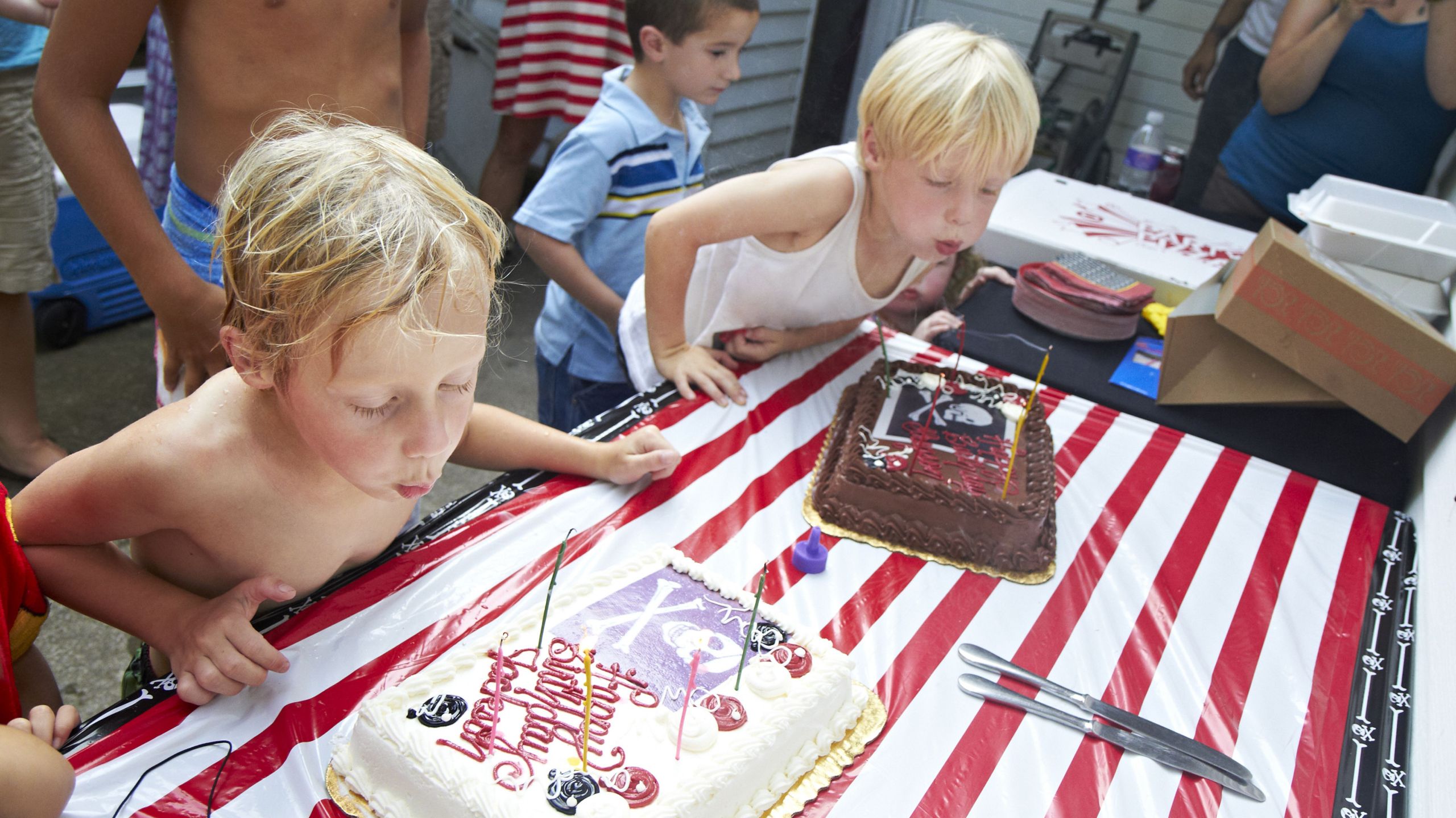 Farm Animals Birthday Party Banner