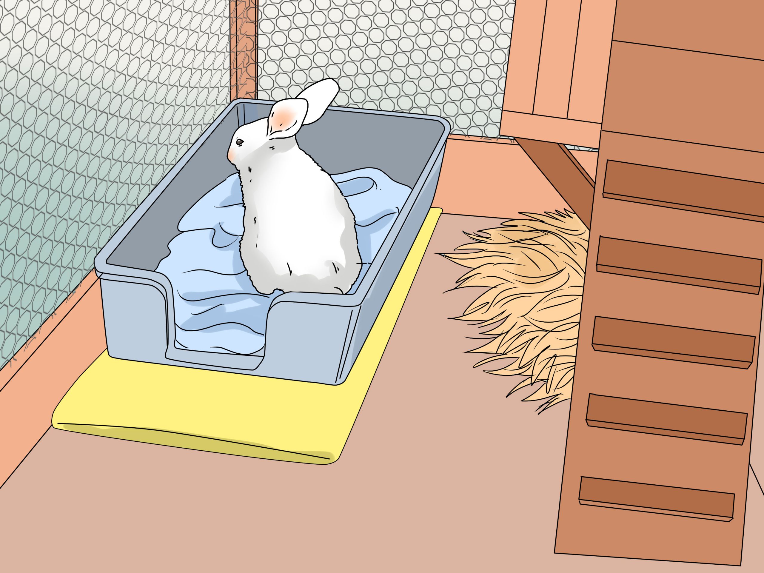 Tell if Your Rabbit Has Weepy Eye Step 14