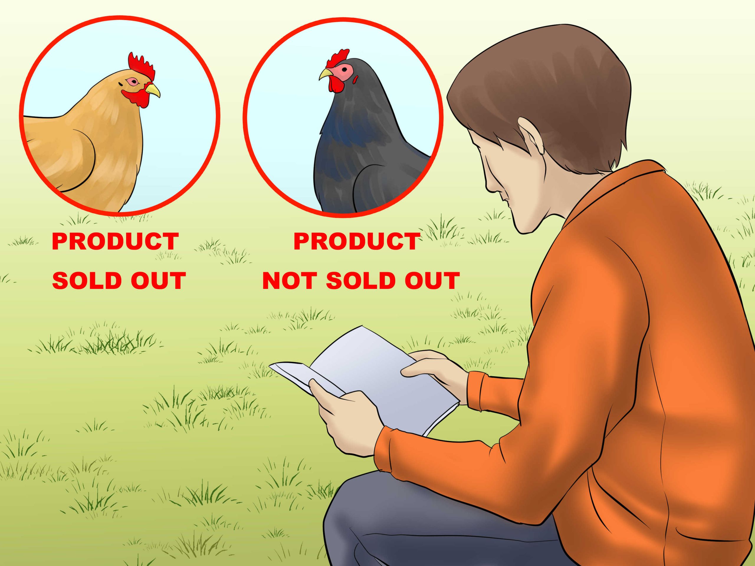 Start a Chicken Farm Step 27