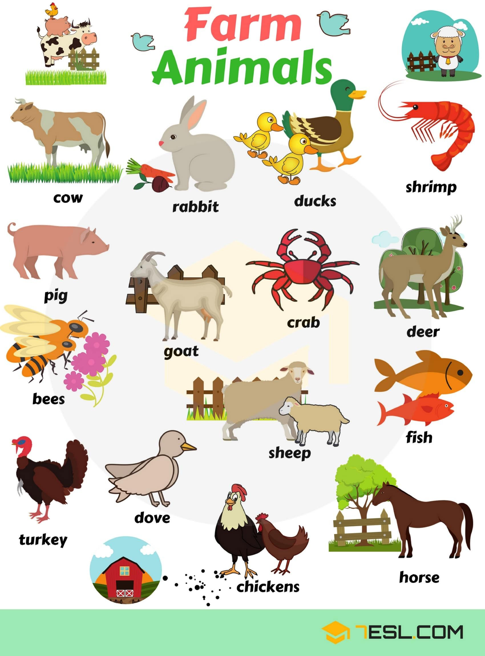 6 Farm Animals Chart Preschool - AMP