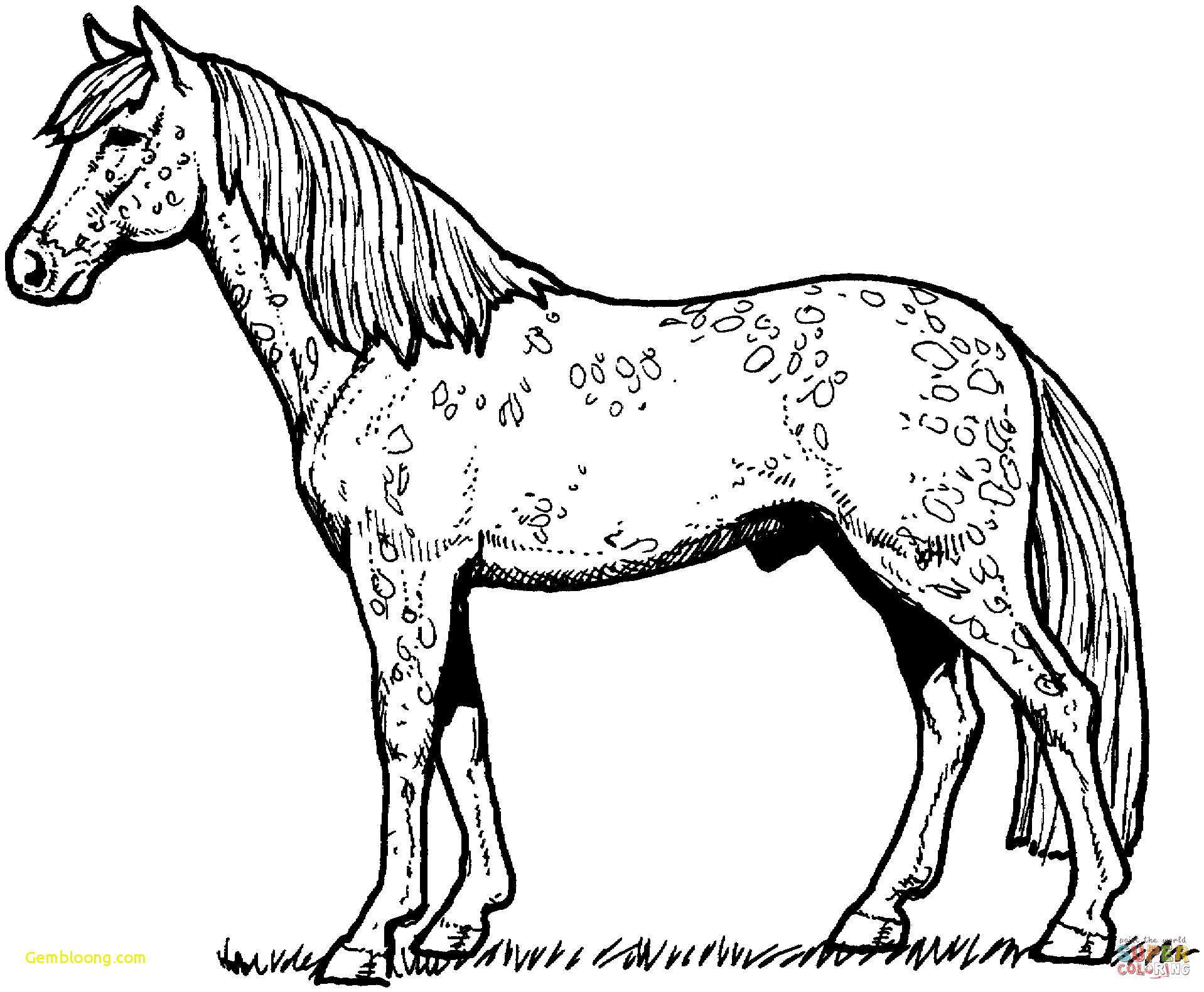 horse drawing pages 1