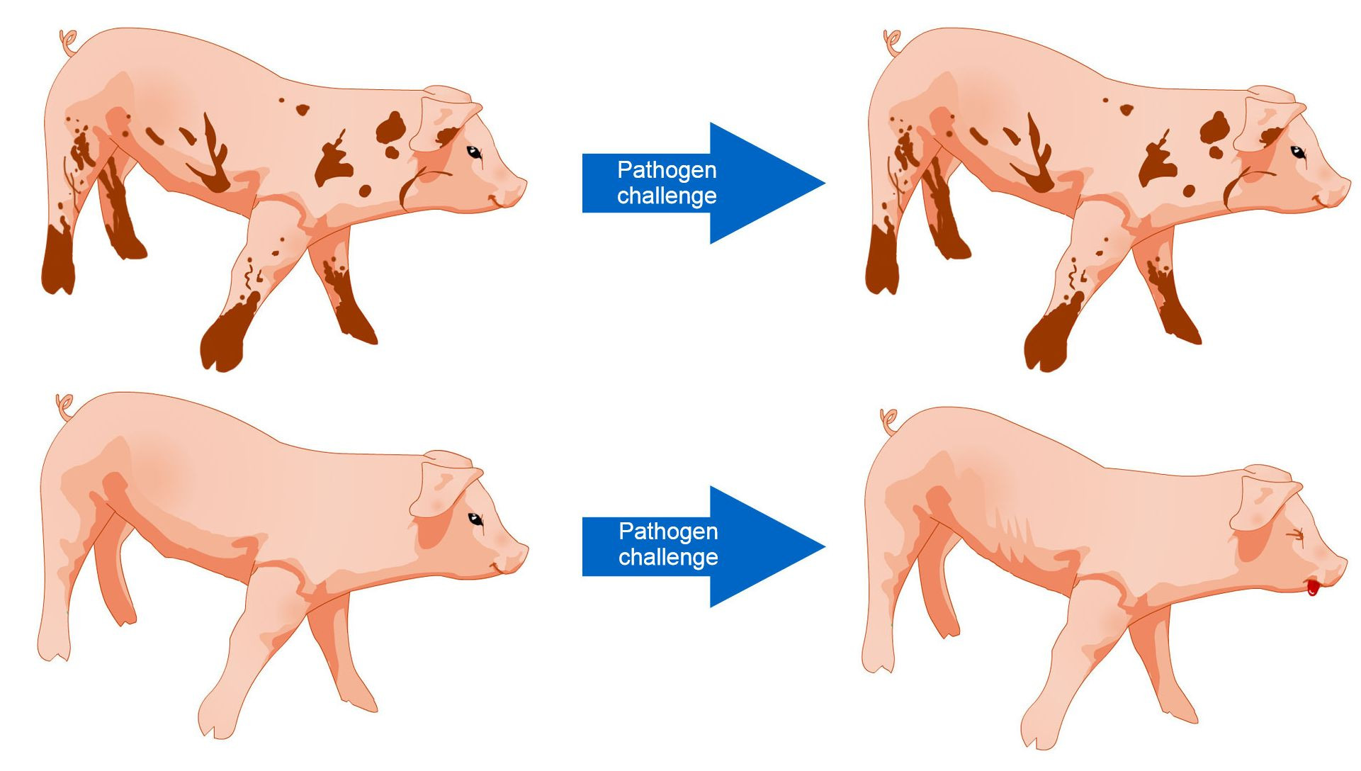 Farm Animals Clipart Farmers