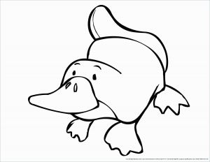 6 Farm Animals Coloring Pages - AMP